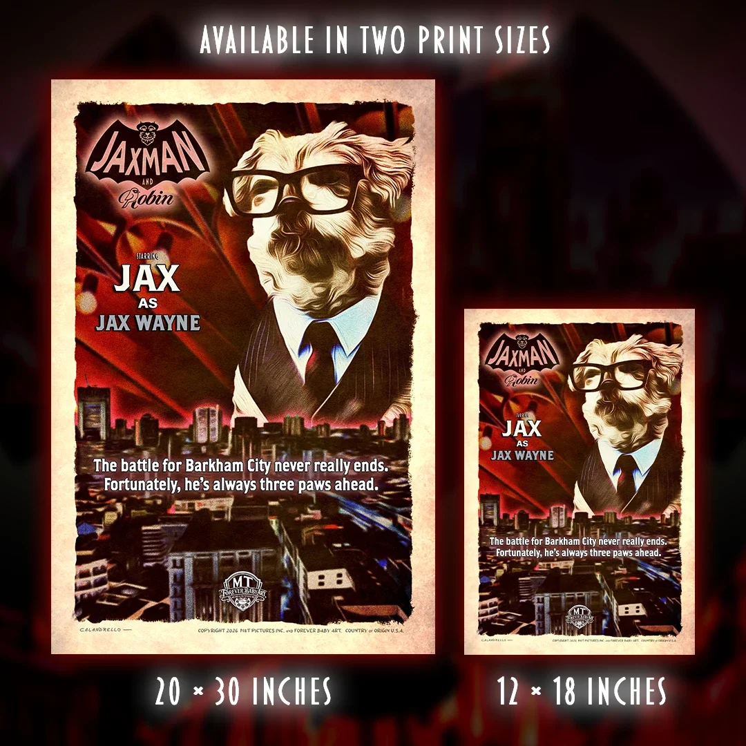 fba-website-store-jax-wayne-2.webp