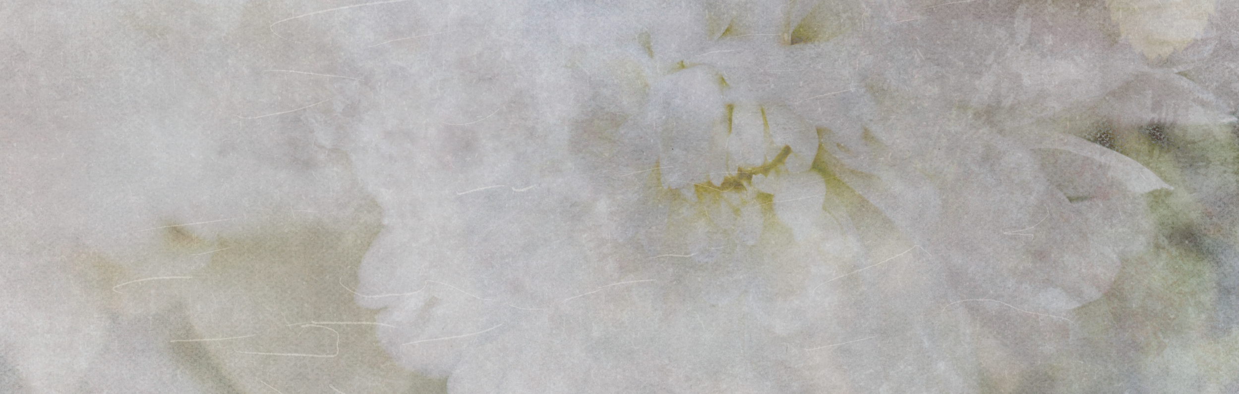 Screenshot 2026-03-02 at 2.20.35 PM.png