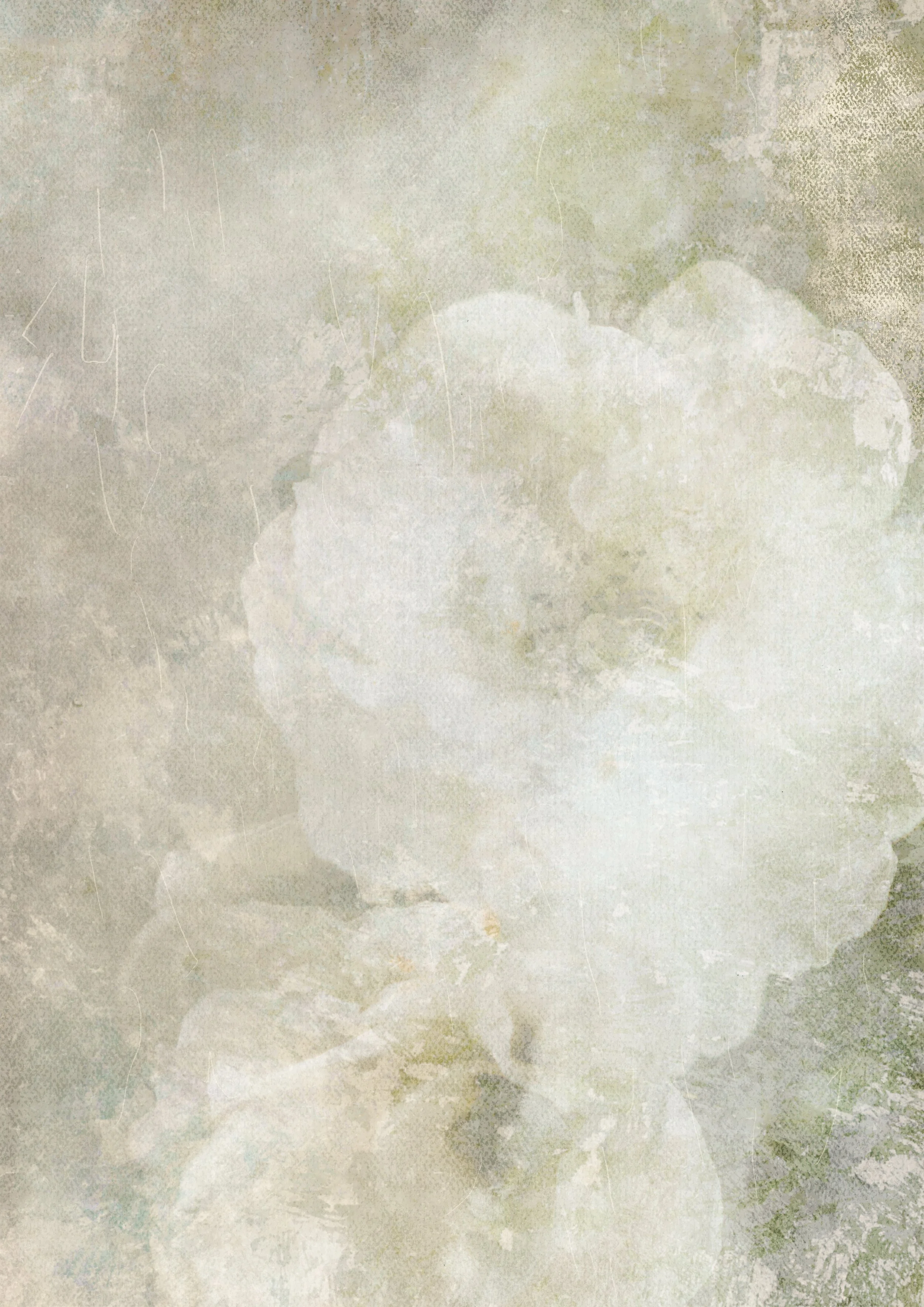 Flora-Ether-31.jpg