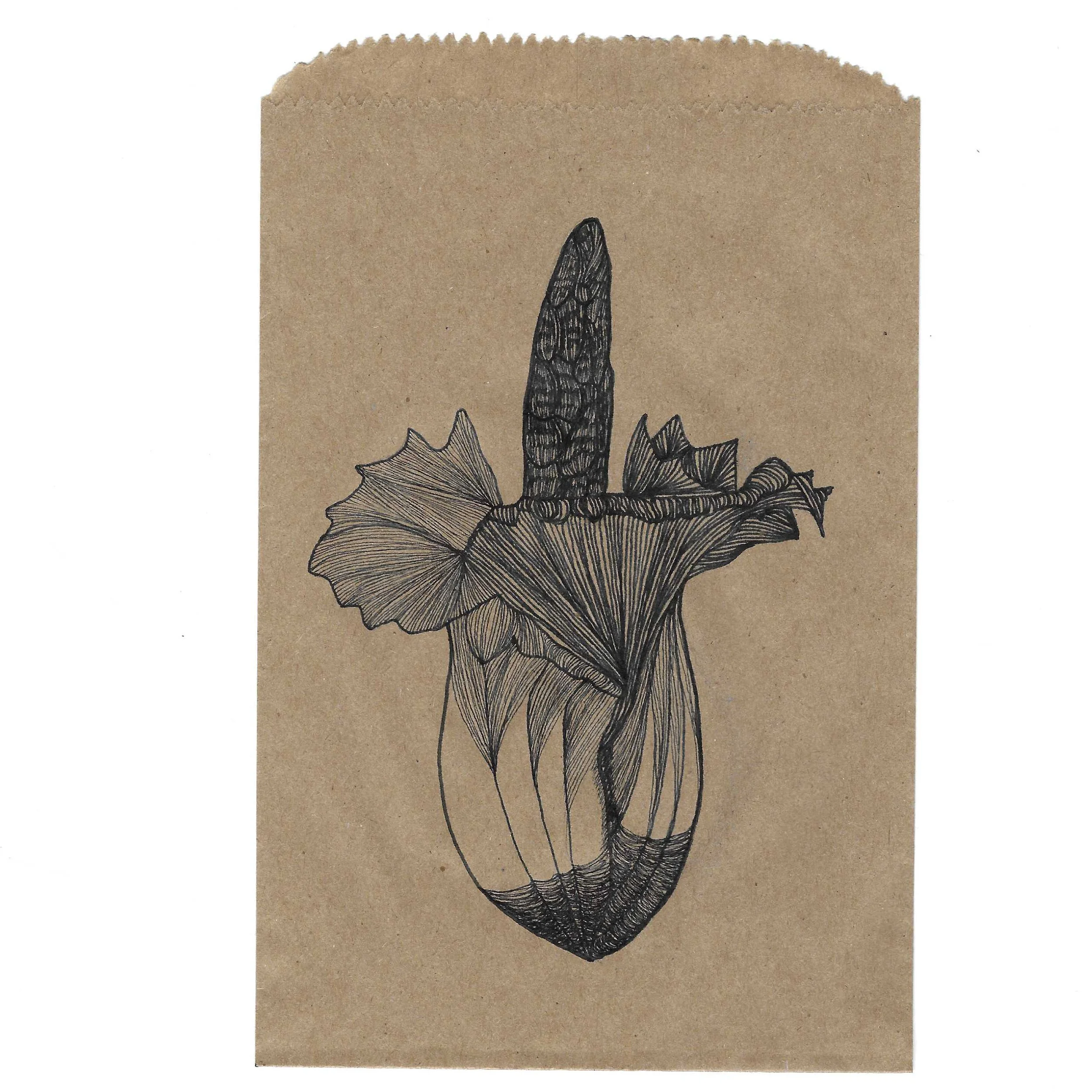 Amorphophallus Titanium, ink on recycled paper bag, 6" x 8"