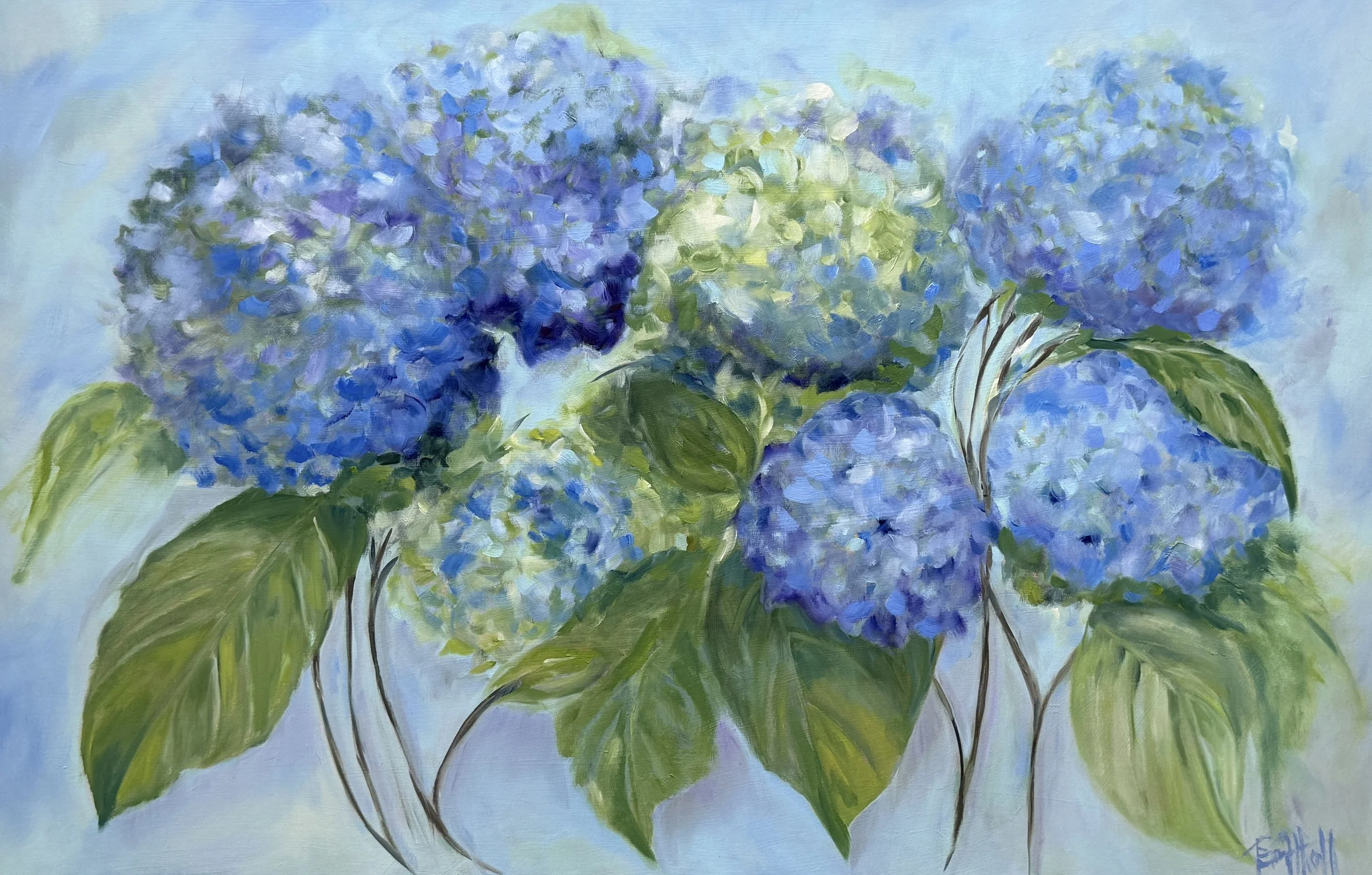 Hydrangeas Sold