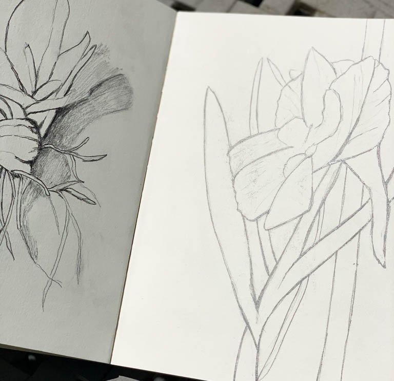 sketch.jpg