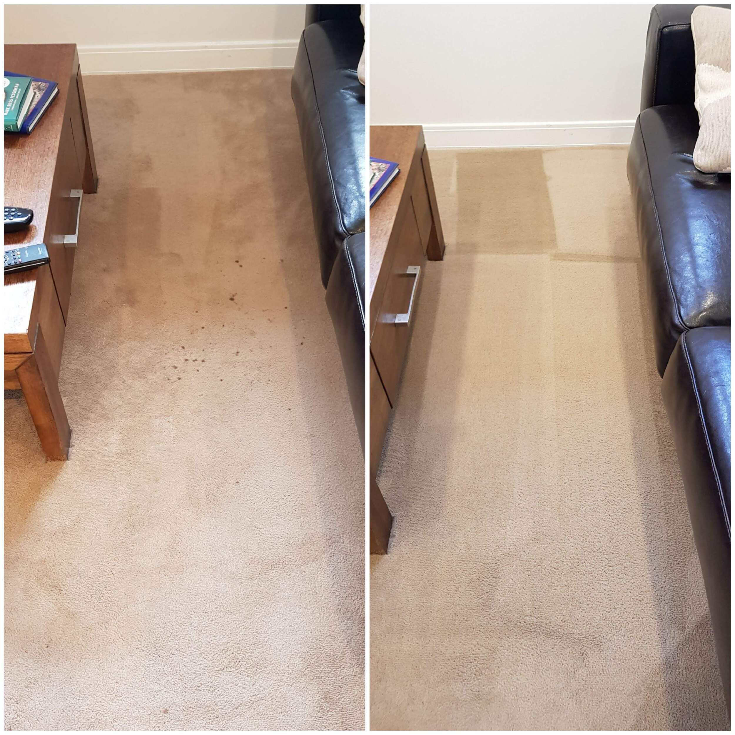 How to get dried dog pee out of carpet?<br/> — Fresh Zest Carpet Care