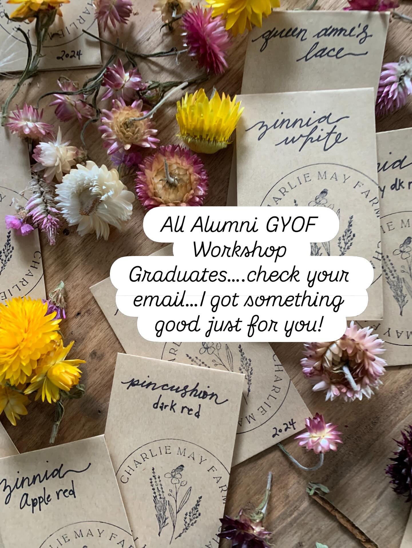 We have a curated seed collection available to buy for all our graduates of our Grow Your Own Flower Garden Workshop. This is perfect for anyone that wants to grow a similar garden with the space you have. No need to purchase seeds from a gazillion s