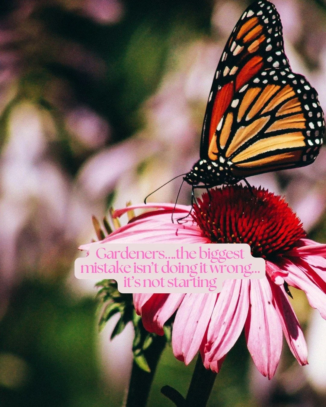"So many people stay stuck in the same place&hellip;

Not because they don&rsquo;t care.
Not because they&rsquo;re not capable.

But because they&rsquo;re afraid of doing it wrong.

Planting the wrong thing.
Starting at the wrong time.
Wasting e