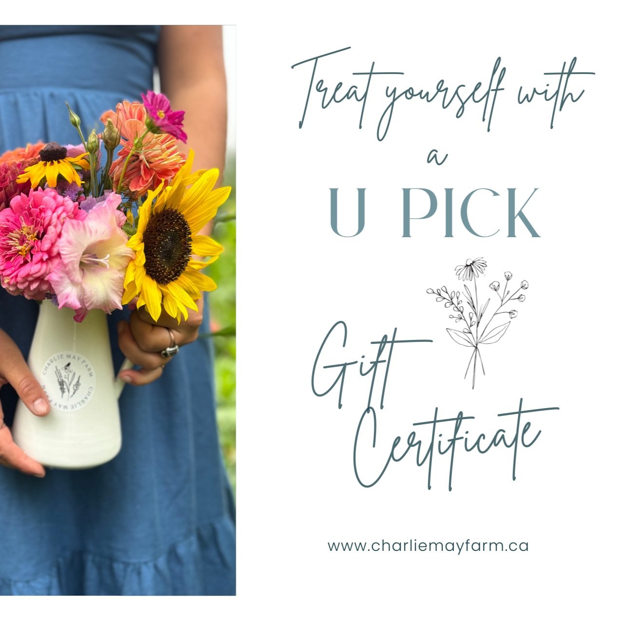 U+Pick+Gift+Certificate.jpg