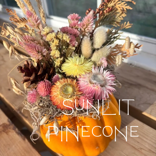 Small Pumpkin Arrangements - 8.png