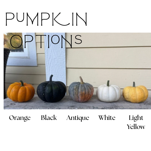 Small Pumpkin Arrangements - 2.png