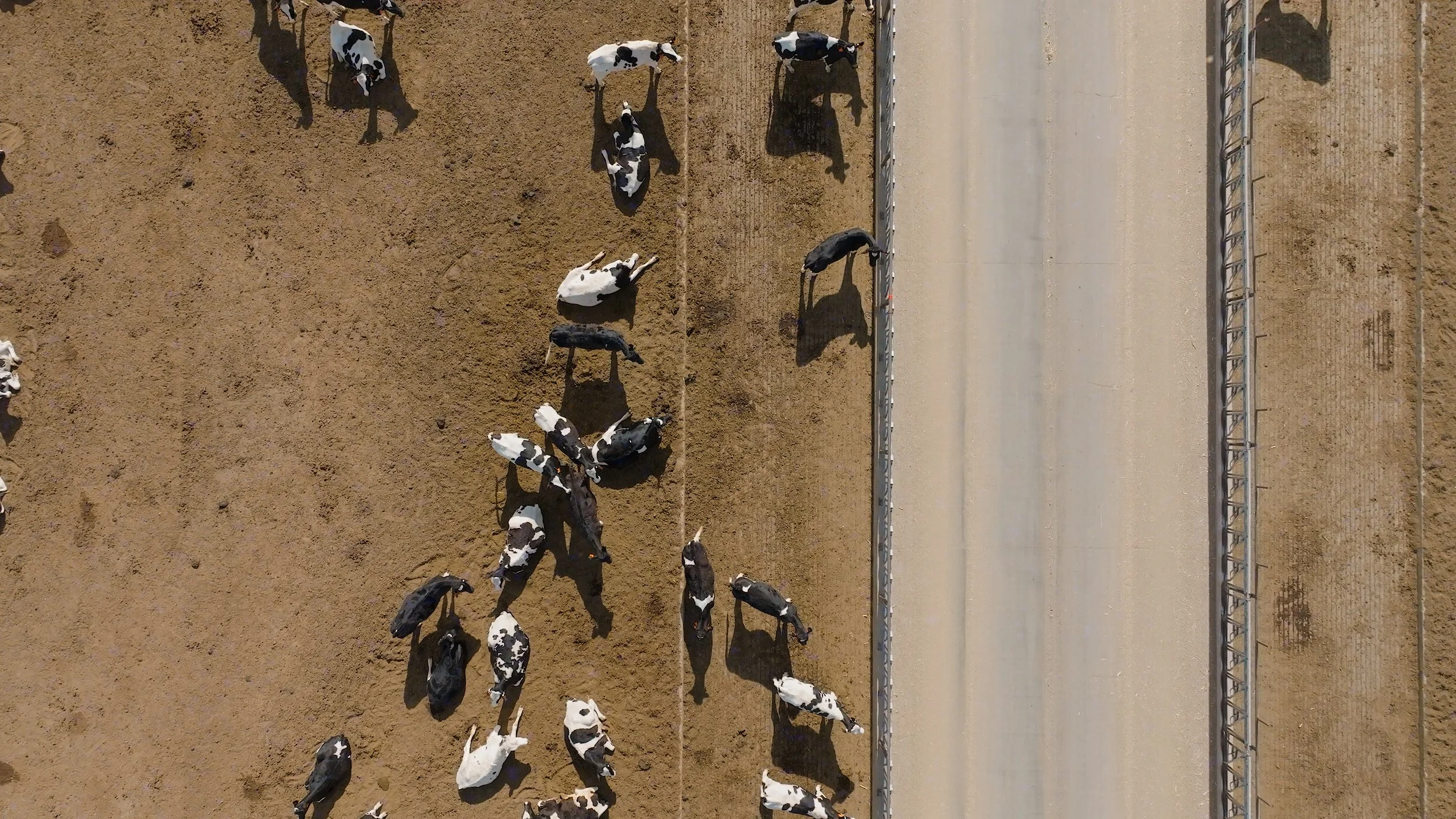 Greeley Stampede Hype Reel.00_00_02_22.Still005.jpg