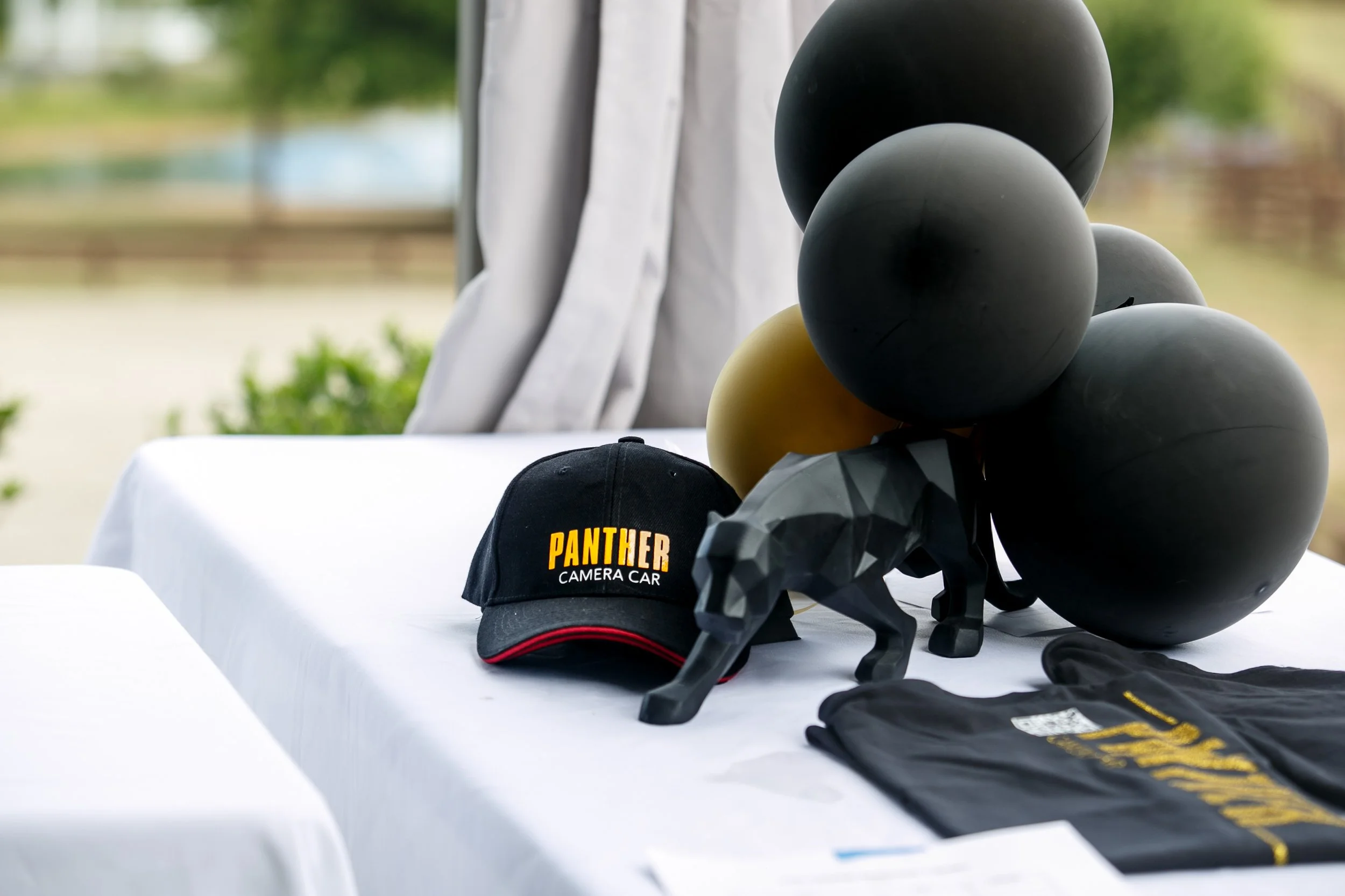 panther car-257.jpg