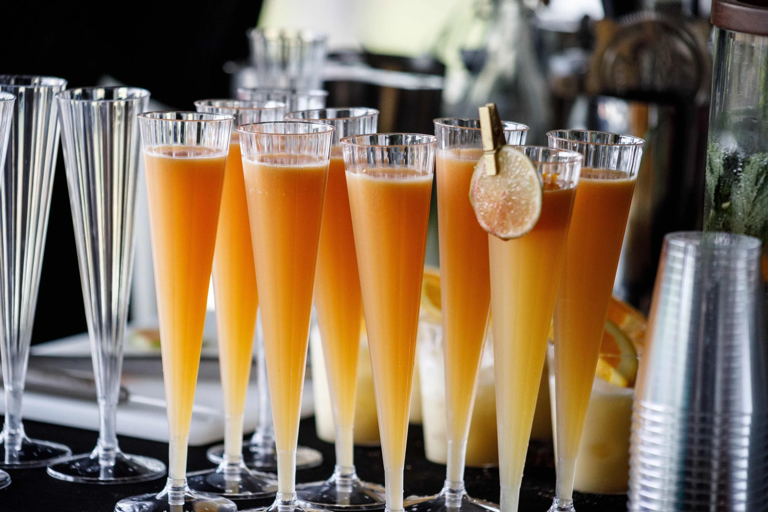 panther car-110.jpeg