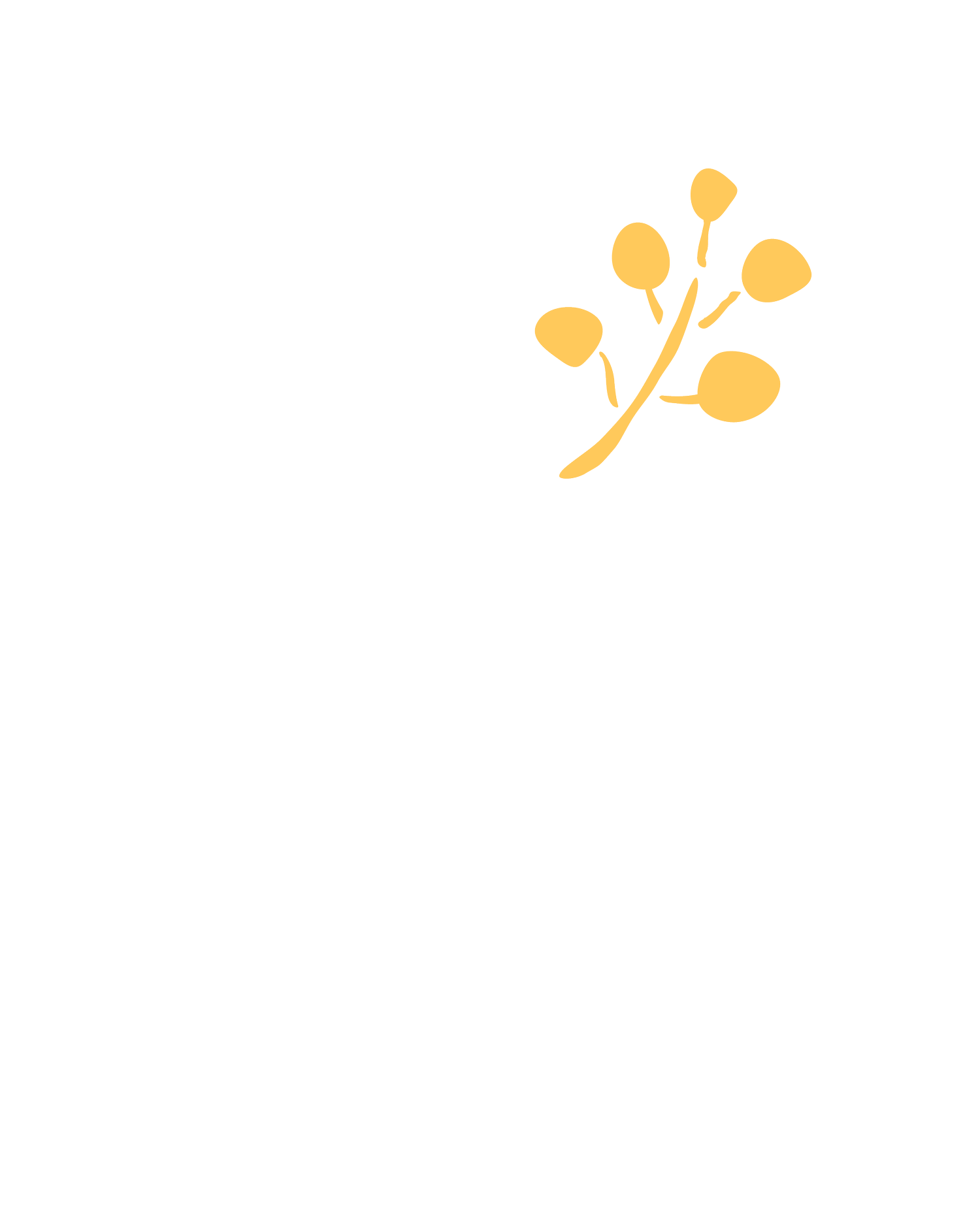 The Wattle Tree Clinic