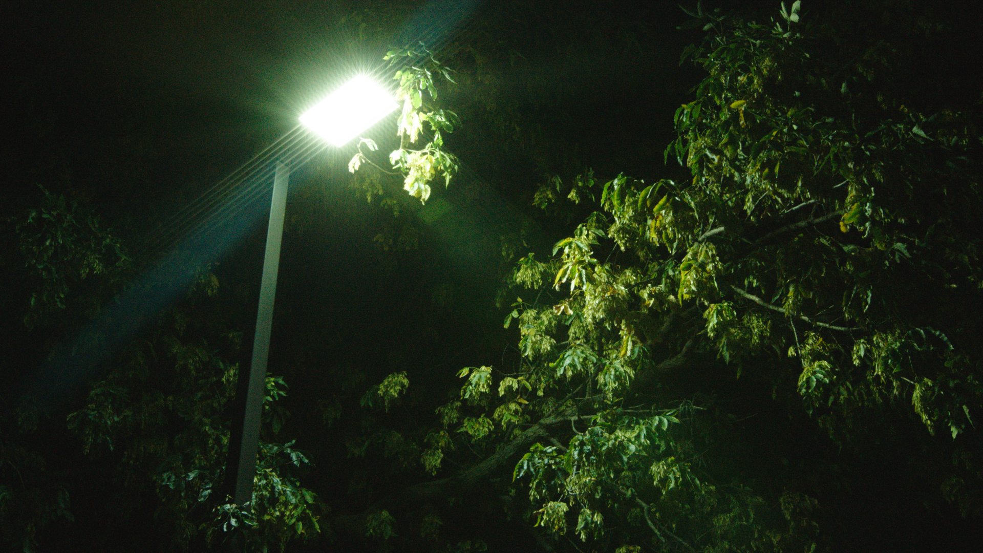 they say ur not the same _1.1.2.PNG