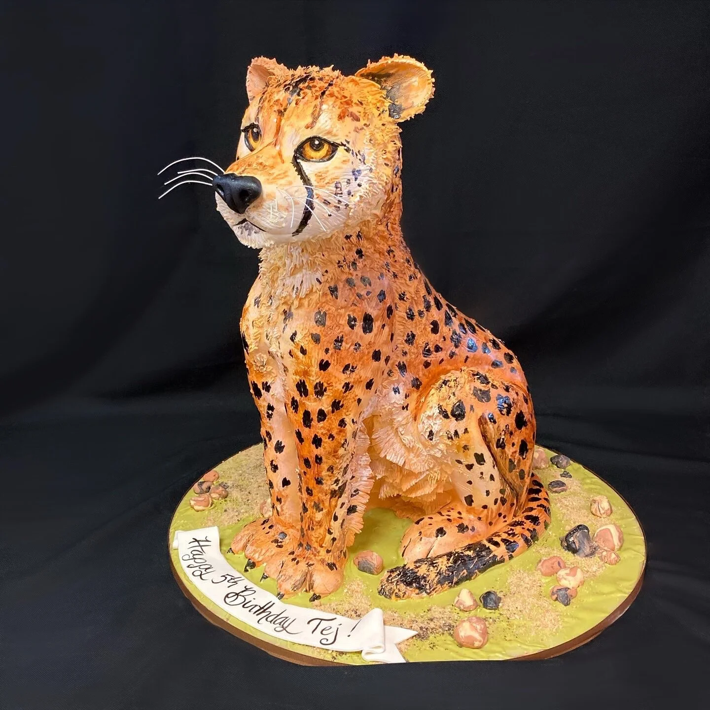 Sculpted Cakes