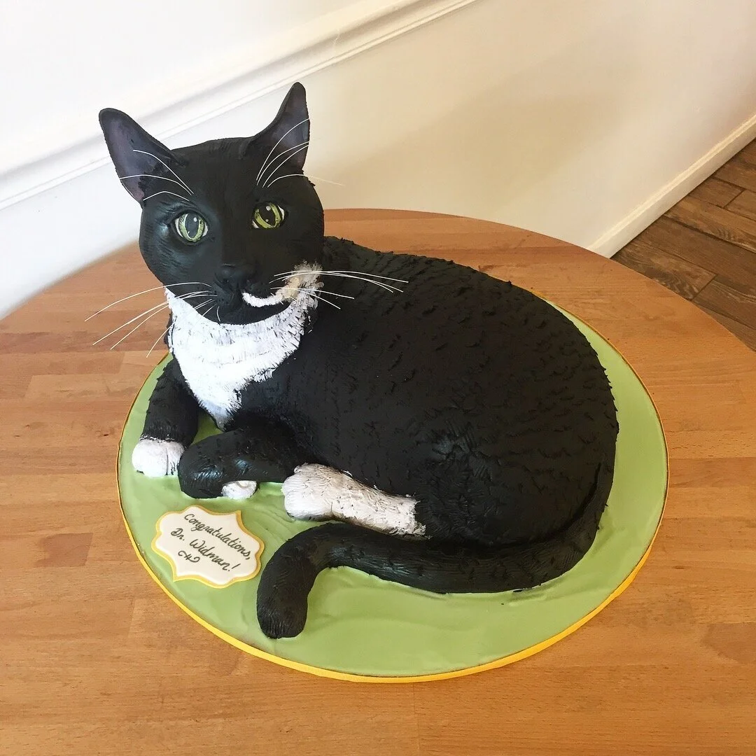 A Curious Cat Cake
