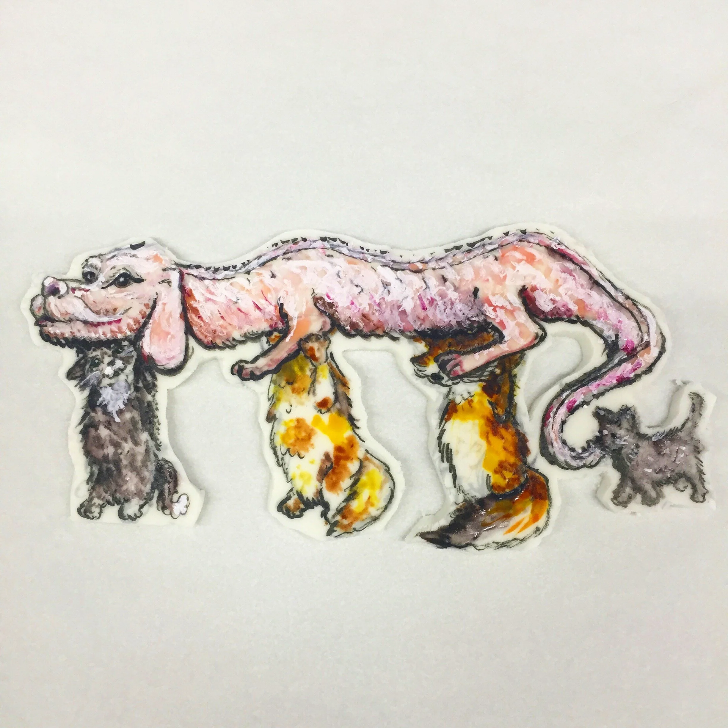 7670D799-9D45-45D0-8CE8-0DD62ED1977A.jpeg