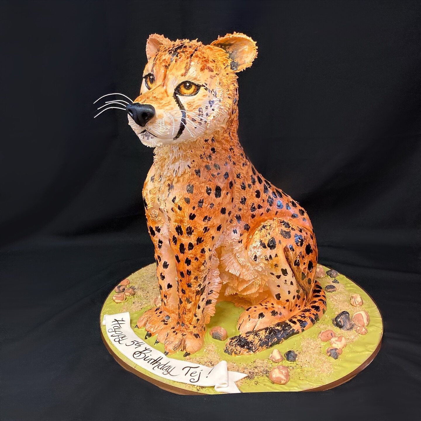 Cheetah Cub Cake