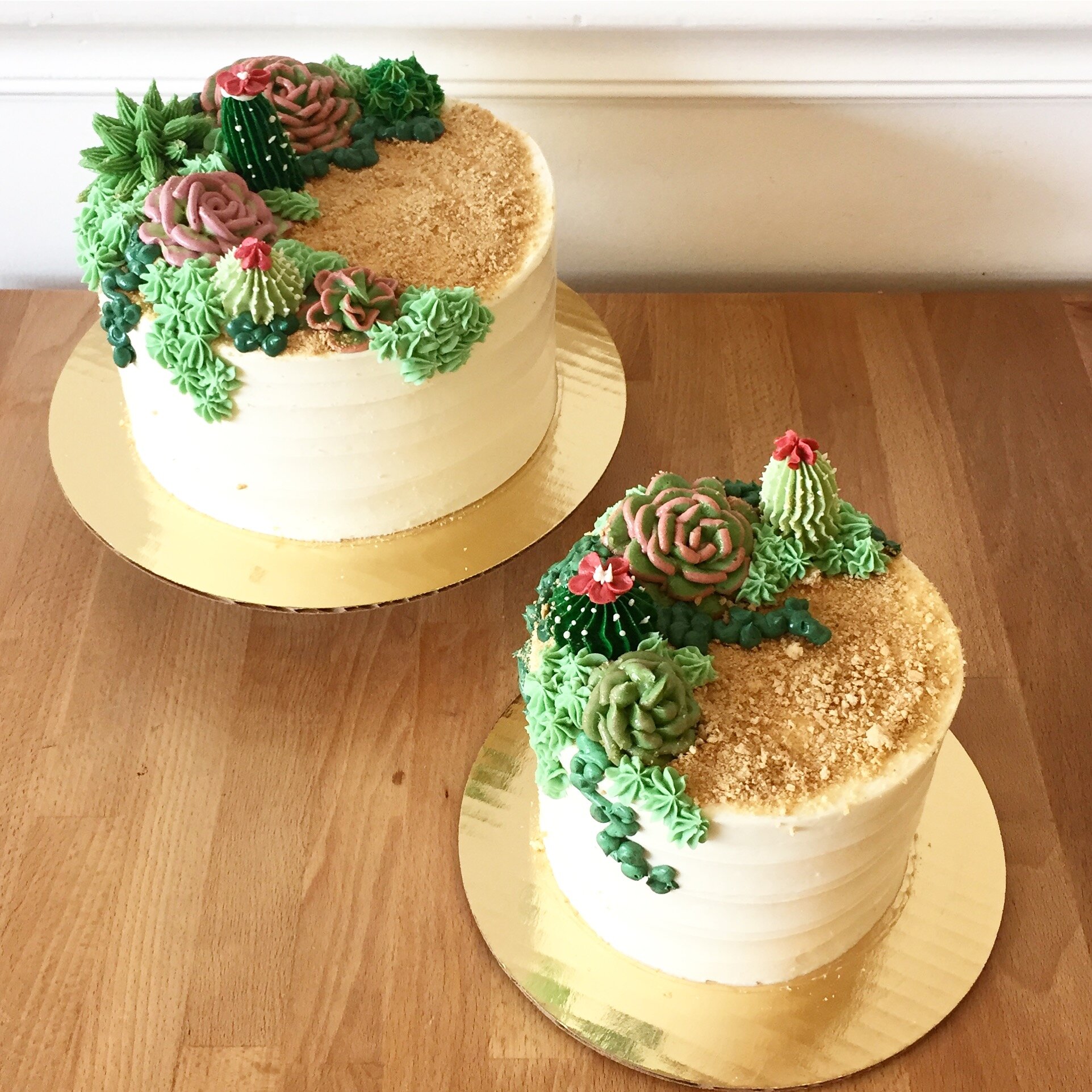 Buttercream Succulents
