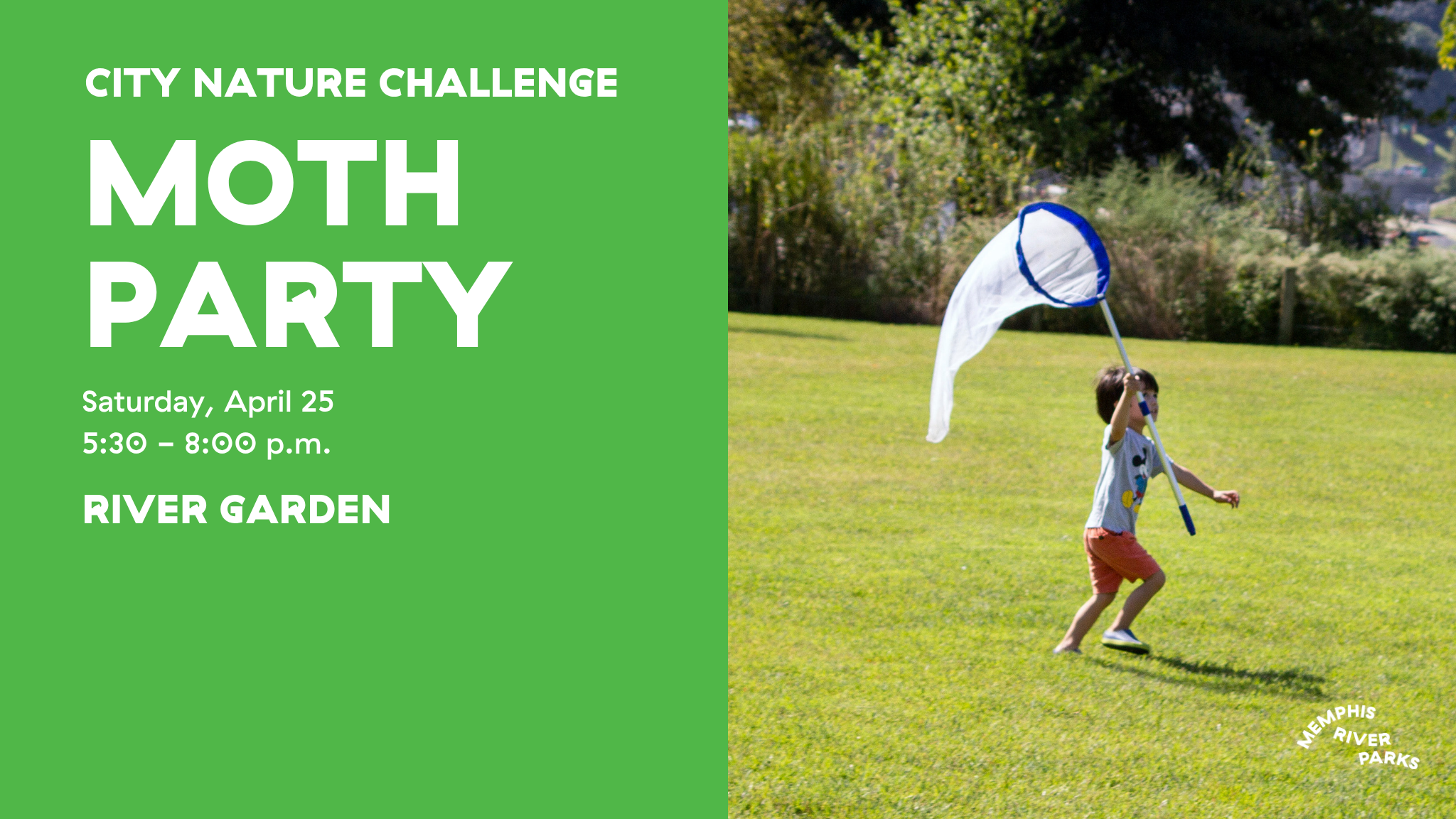 Moth Party - City Nature Challenge