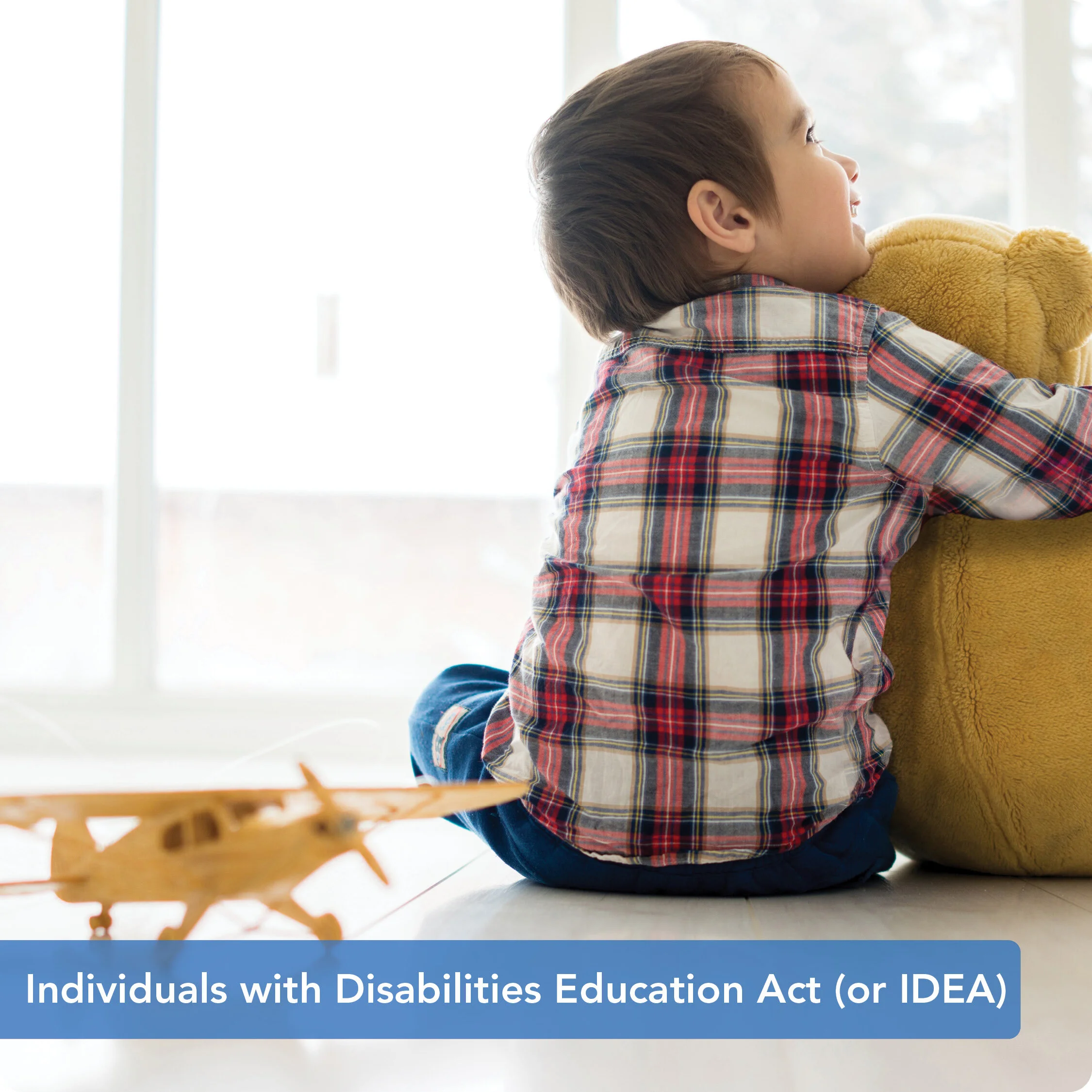Individuals with Disabilities Education Act (or IDEA)