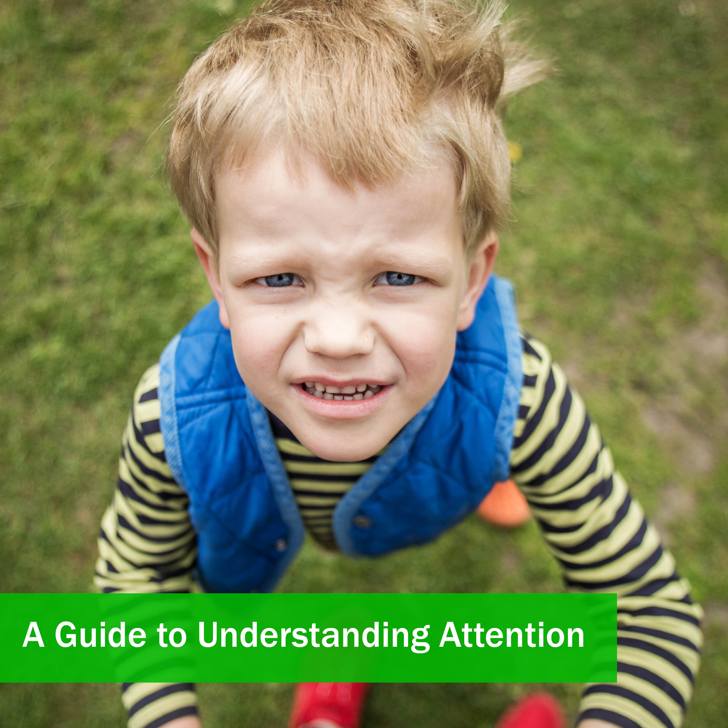 A Guide to Understanding Attention