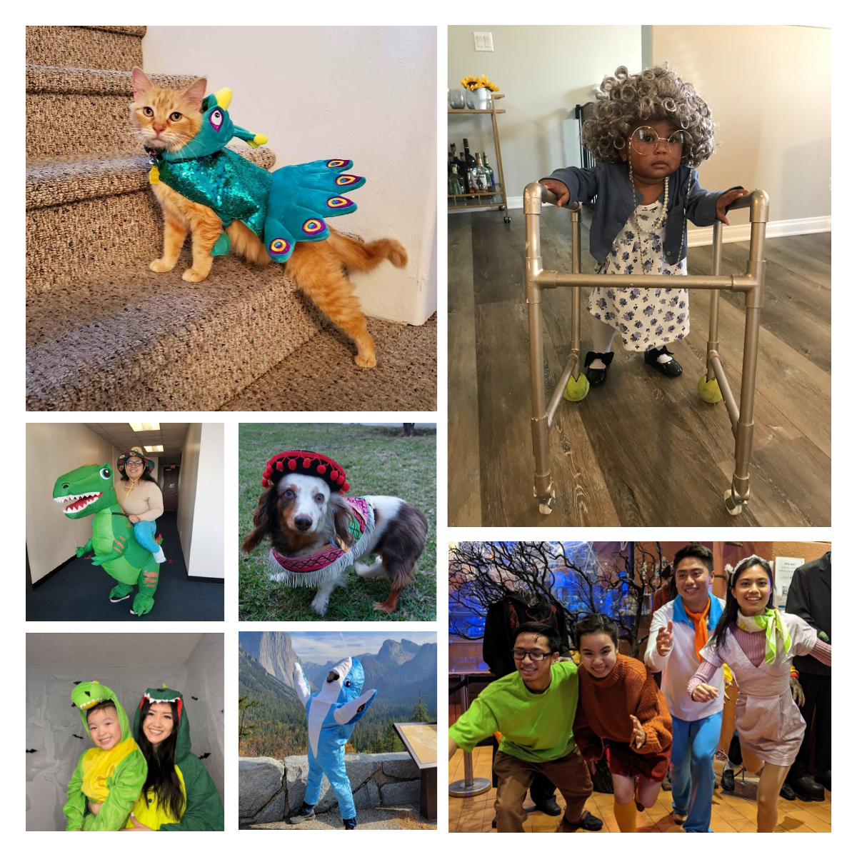 Behavior Frontiers Gets Into the Halloween Spirit with Annual Costume Contest!