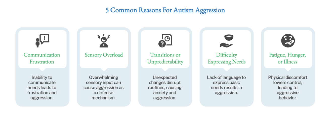 5 common reasons for autism aggression.