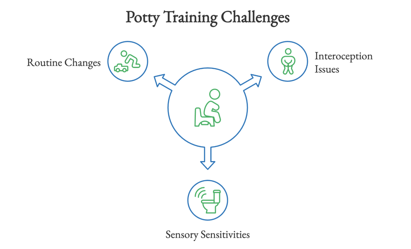 Children with autism may face particular potty training challenges. 