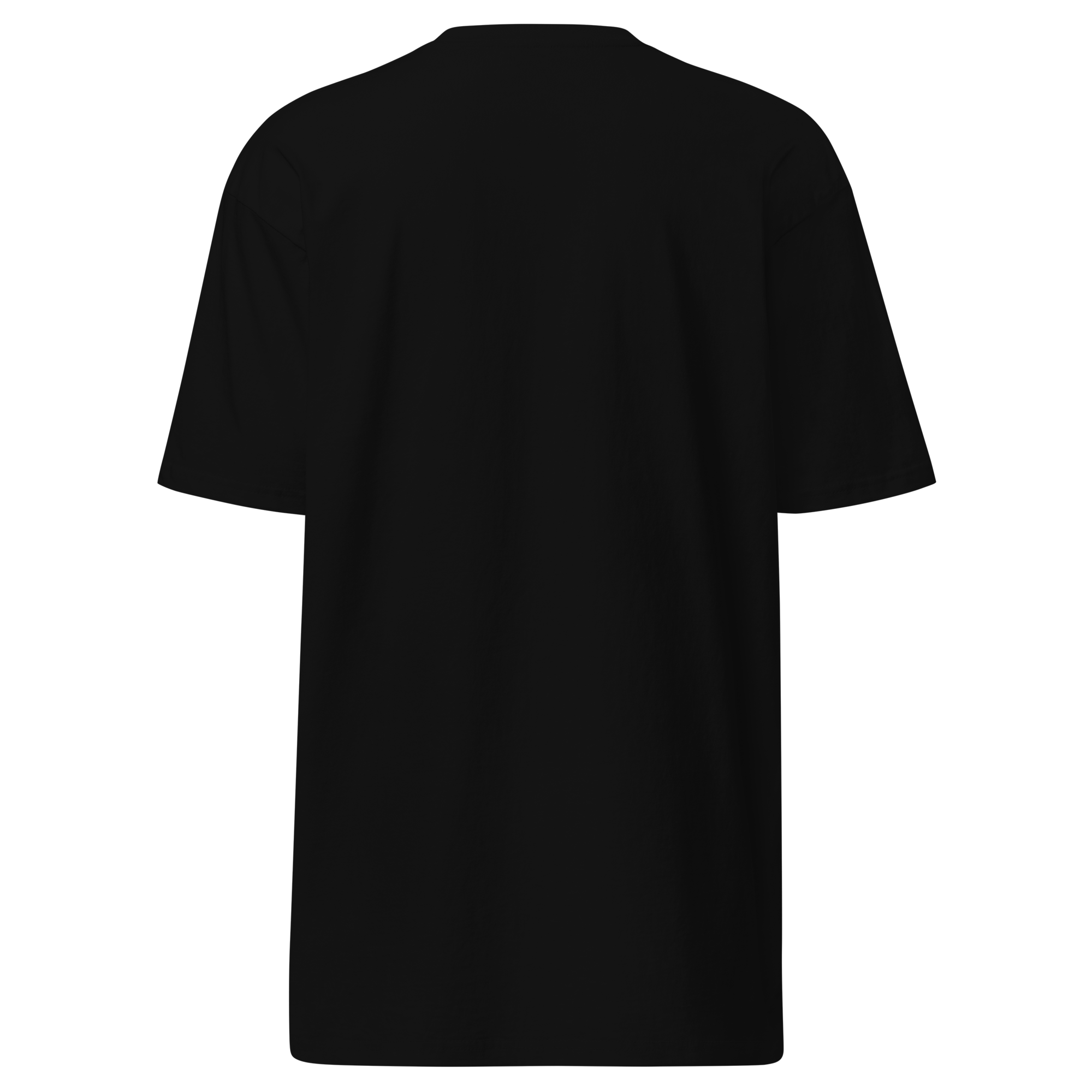 mens-premium-heavyweight-tee-black-back-6ab4254d9c3eb.png