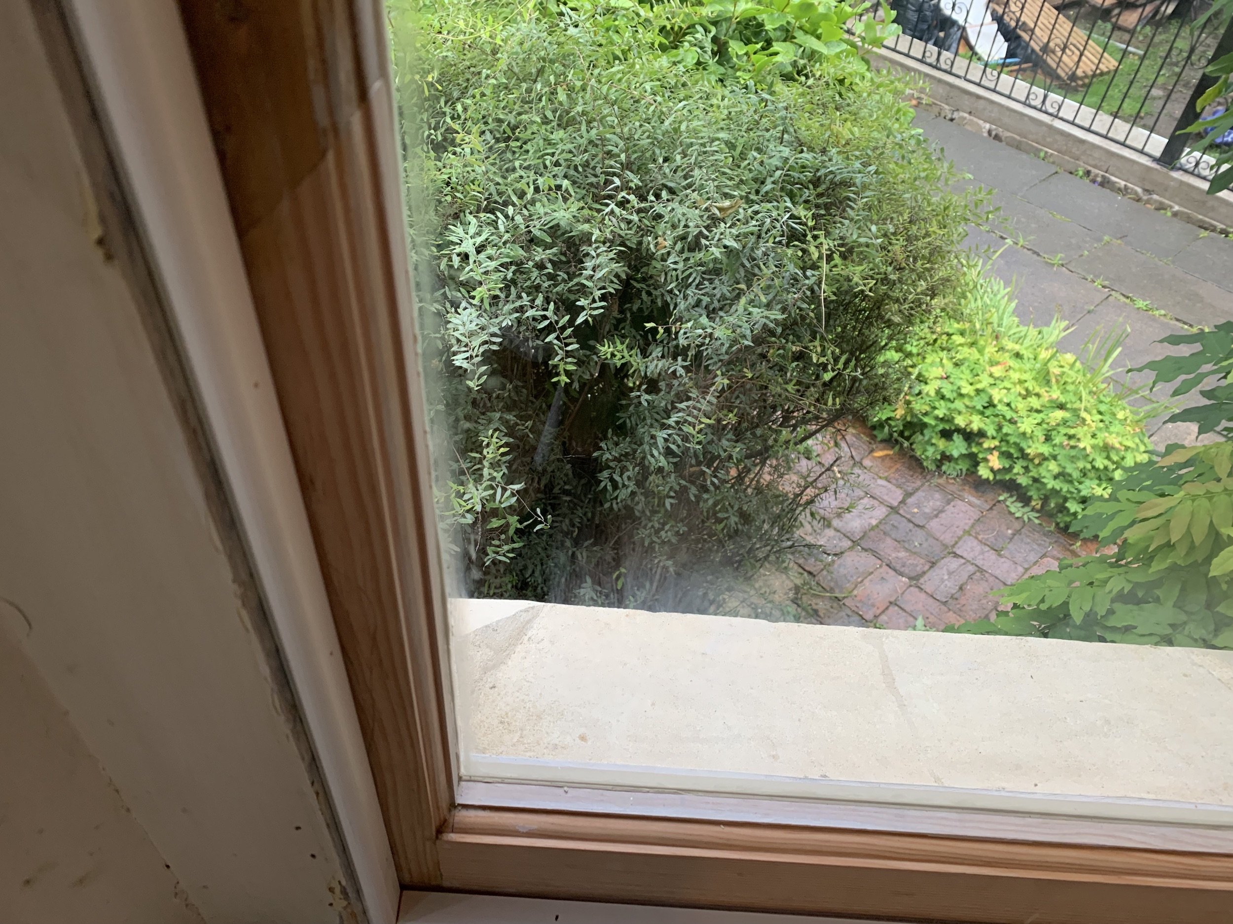 IMG_0679.jpeg