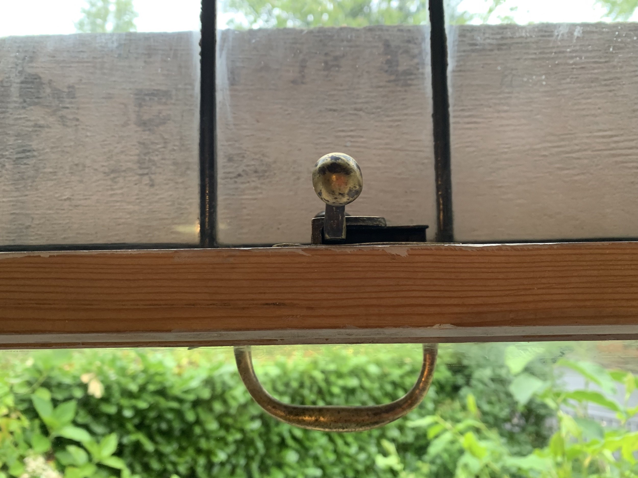 IMG_0677.jpeg