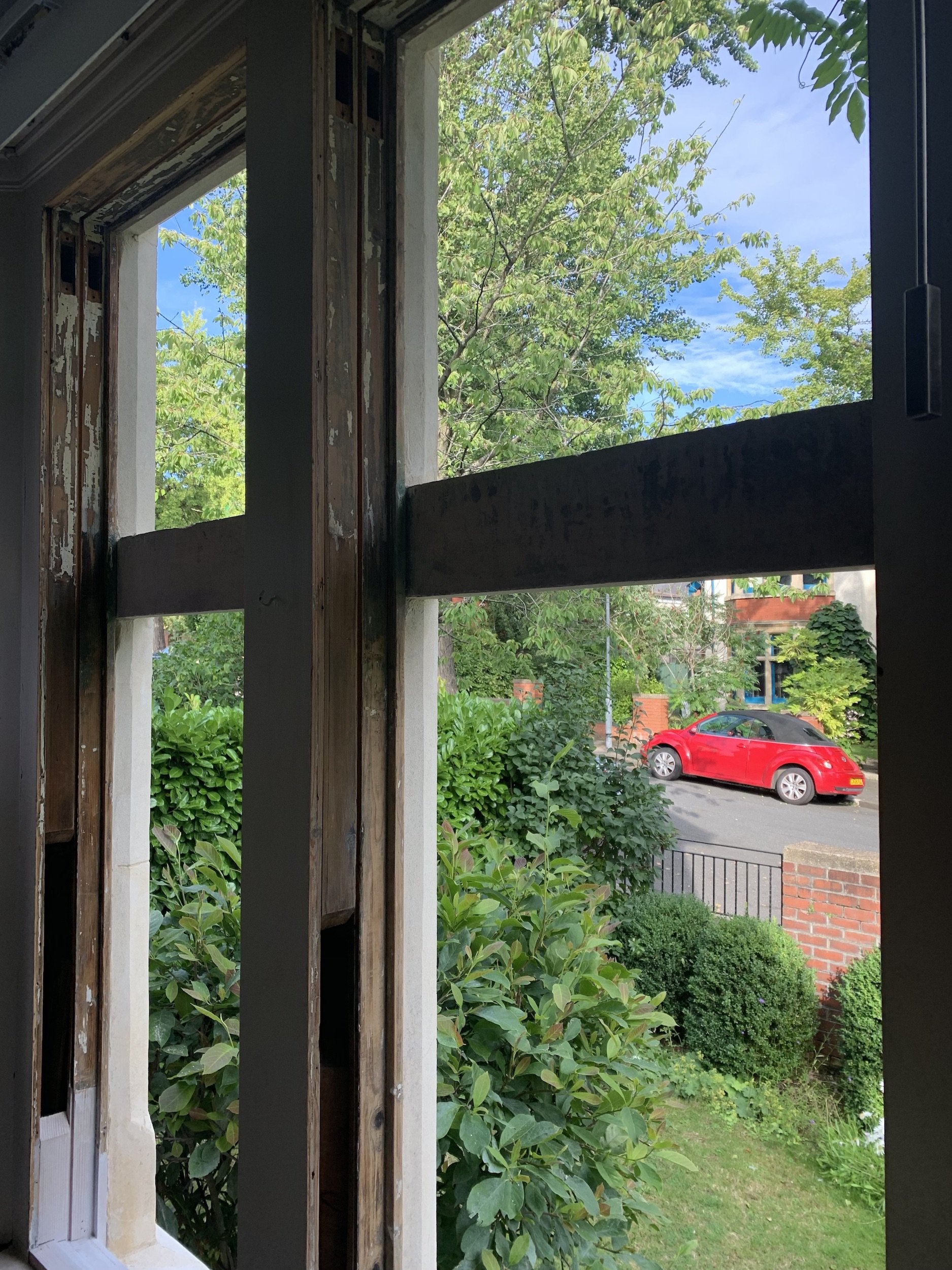 IMG_0359.jpeg