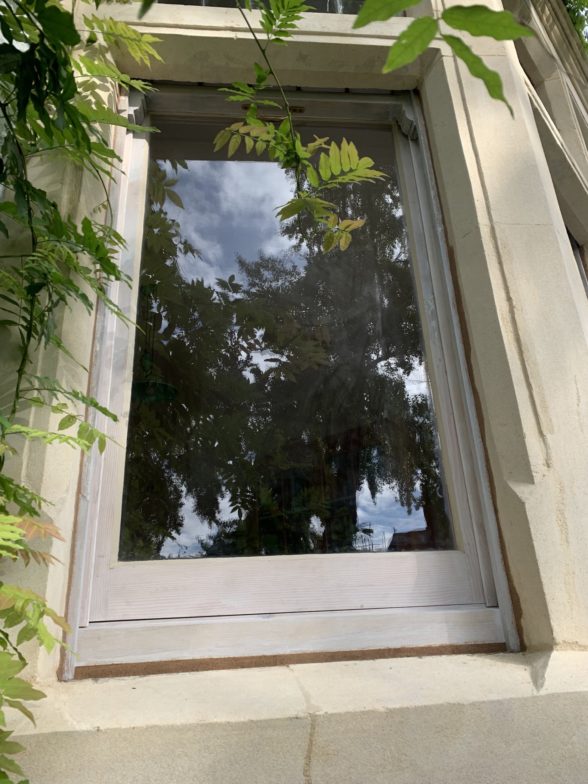 IMG_0688.jpeg