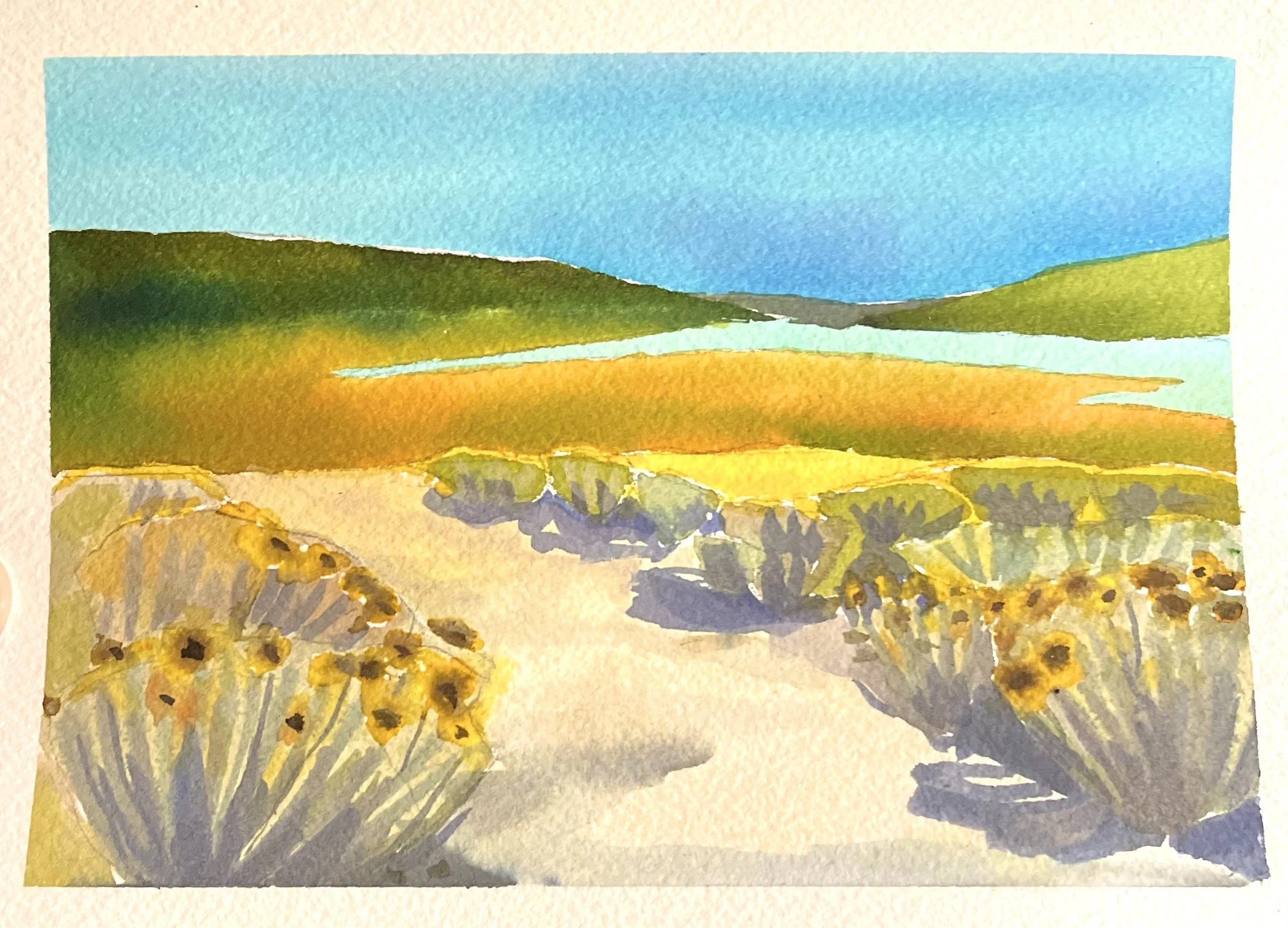 Rabbit brush bloom viviva.jpeg