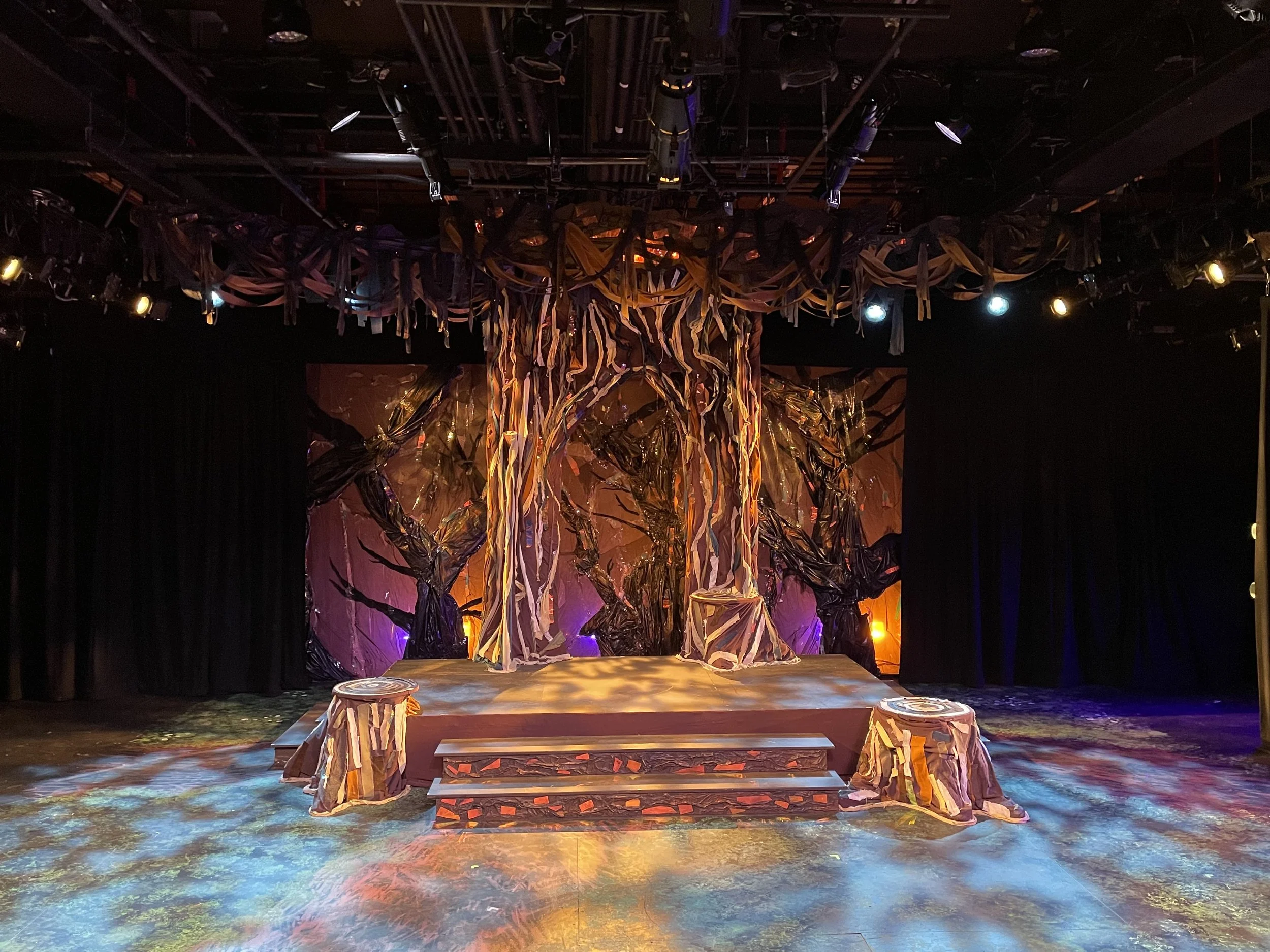 Into The Woods- Scenic Designer