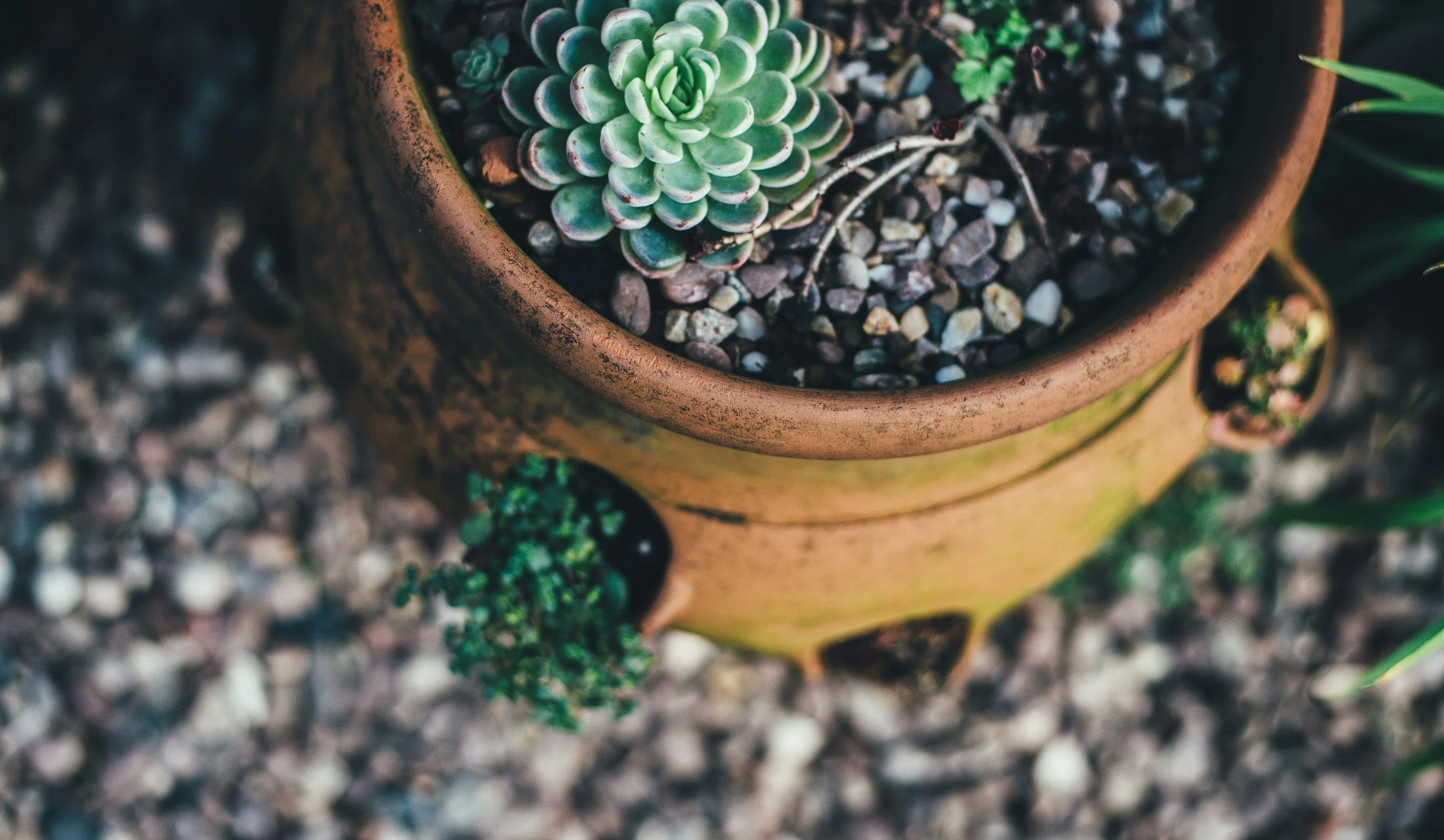unsplash-image-fHkAFtGY4OU.jpg