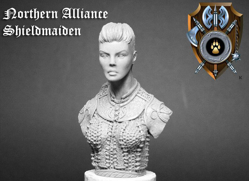 Northern Alliance updates: A closer look –