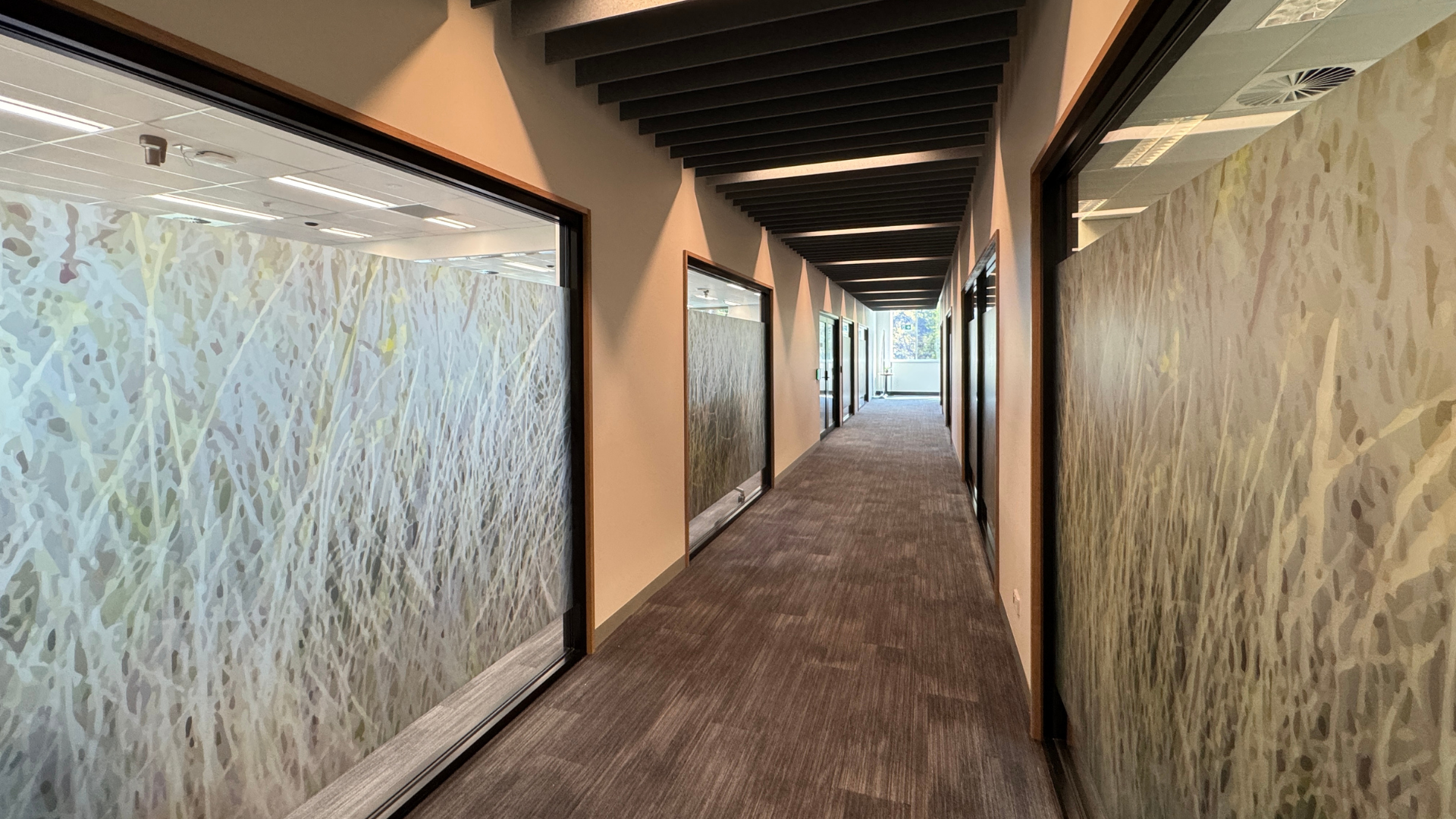 TasTafe Health Hub Artwork - Community Interwoven as Country.png