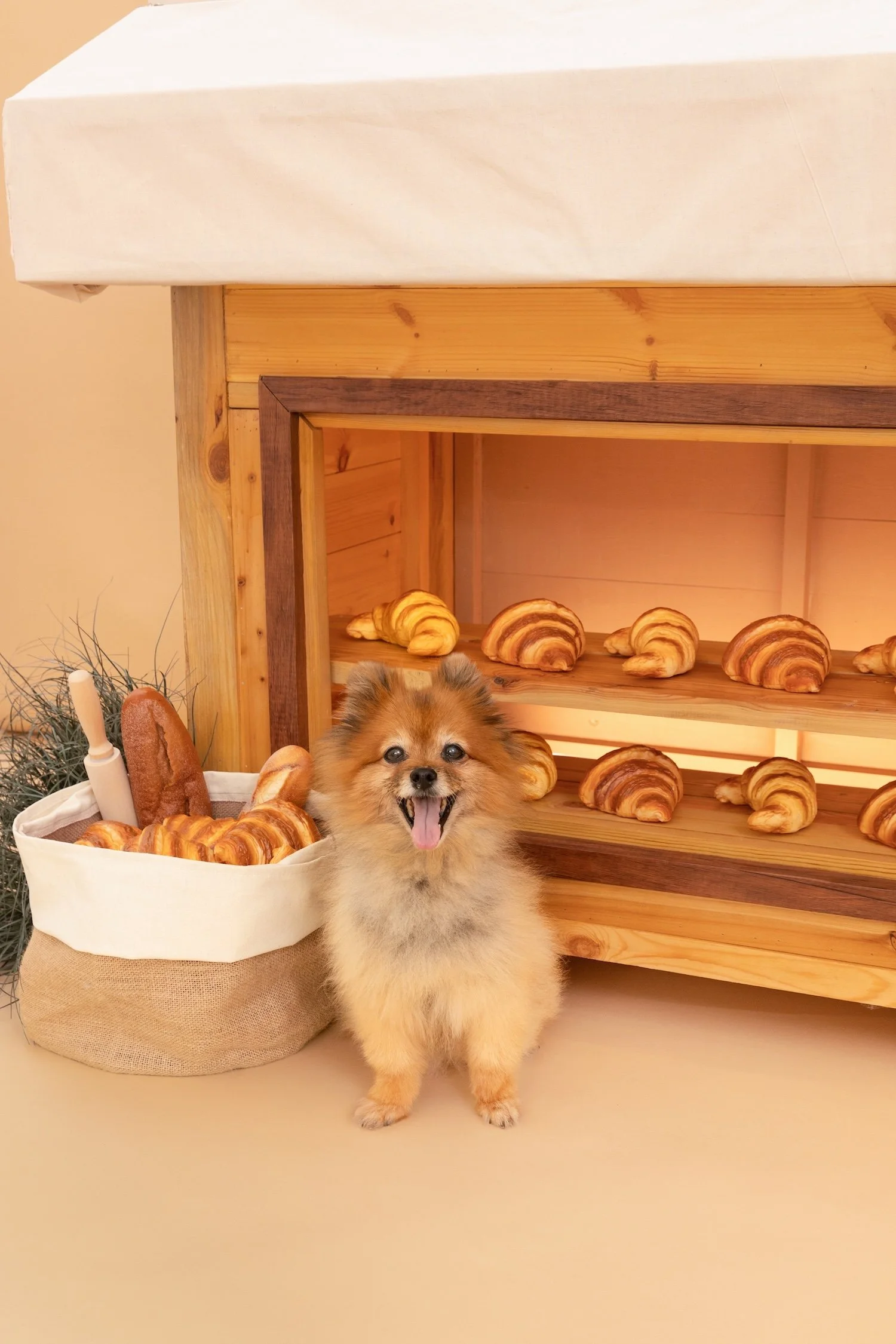 GRACELSY_CROISSANTERIE-2502 _WEBRES.jpg