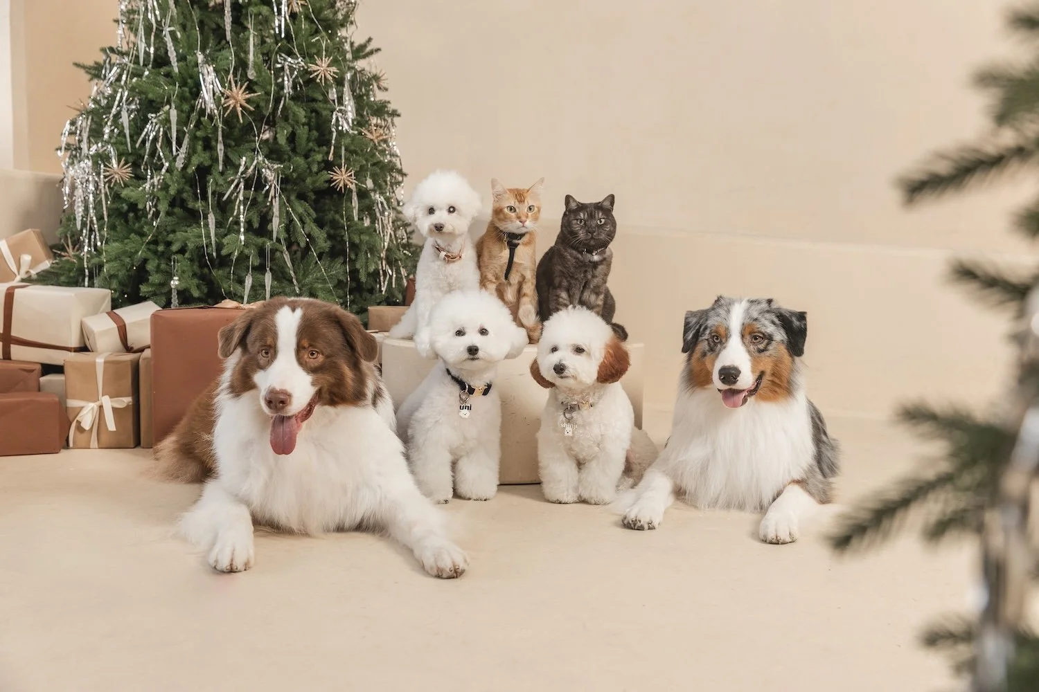CHARMAINECHONG_NOEL-6068.jpg