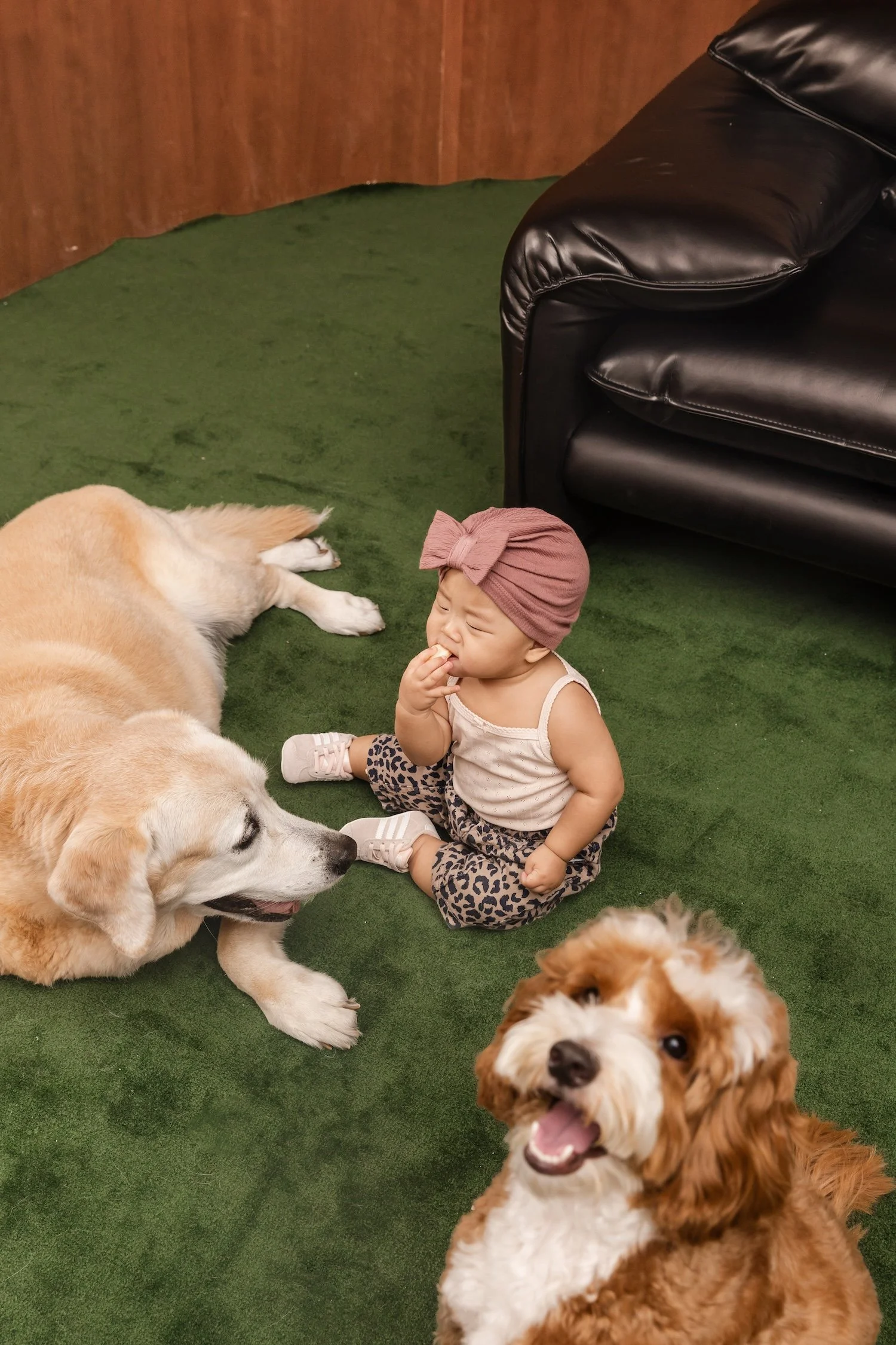 LALU_PORTA-3910 copy.jpg