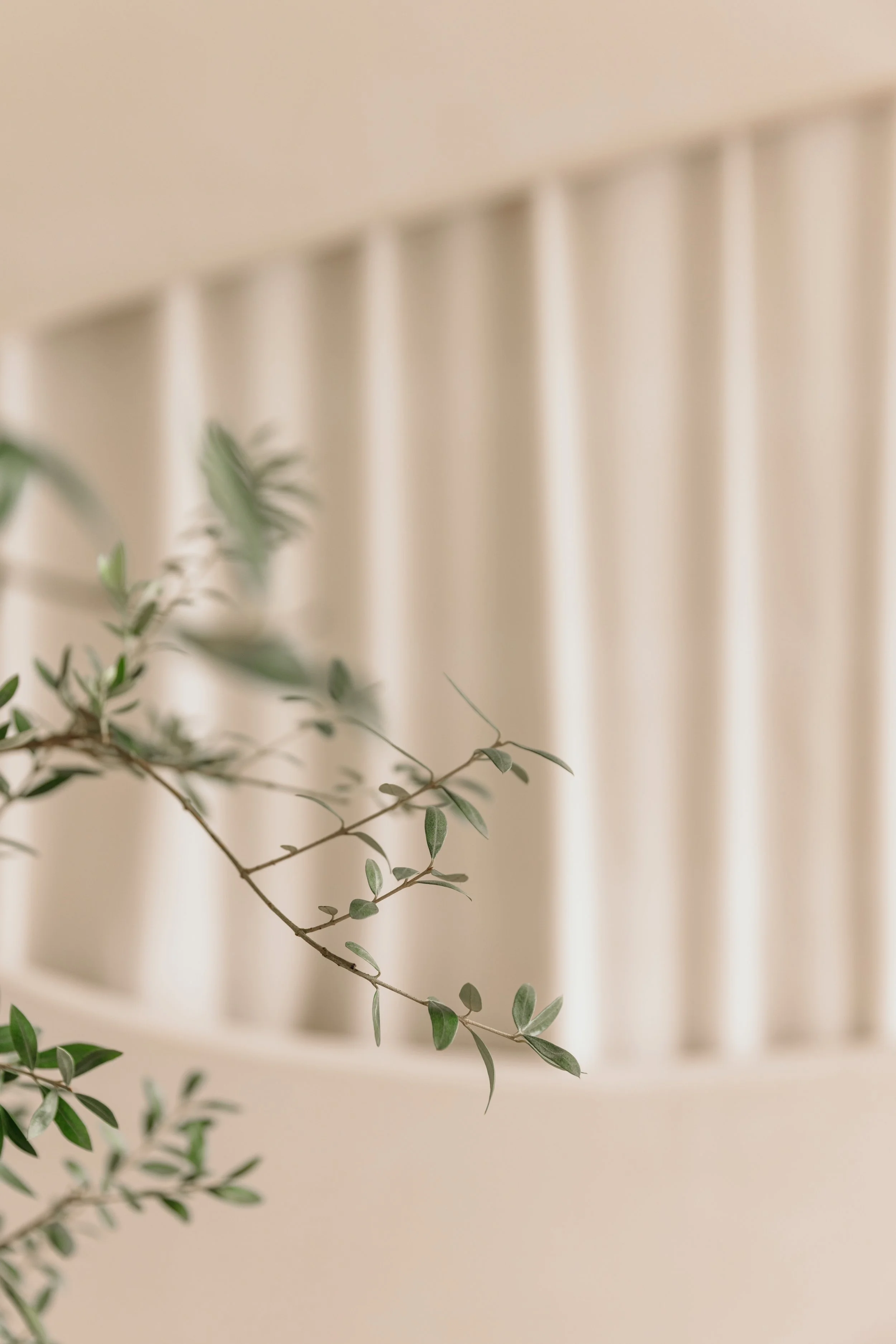 VERANDA_SETIMAGE-5 (1).jpg