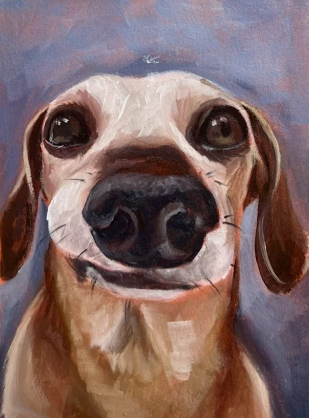 Dachshund Pet Portrait.jpeg