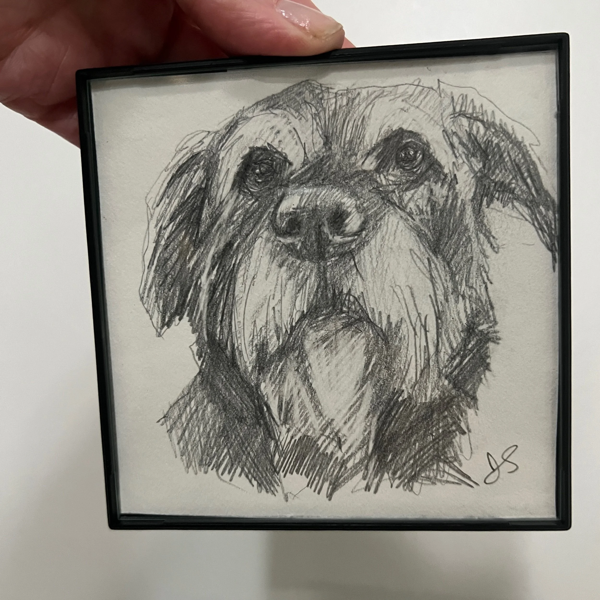 Mini Custom Pet Sketch