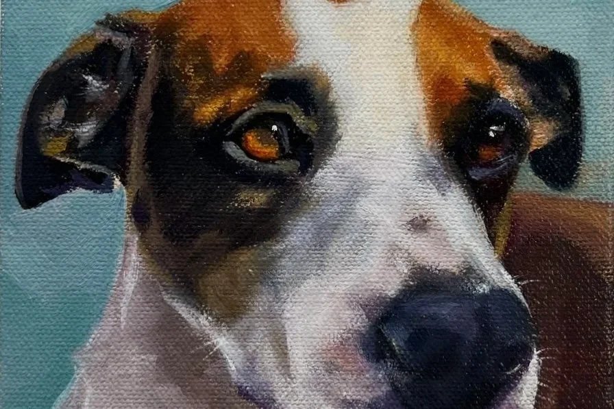 Pet Commissions