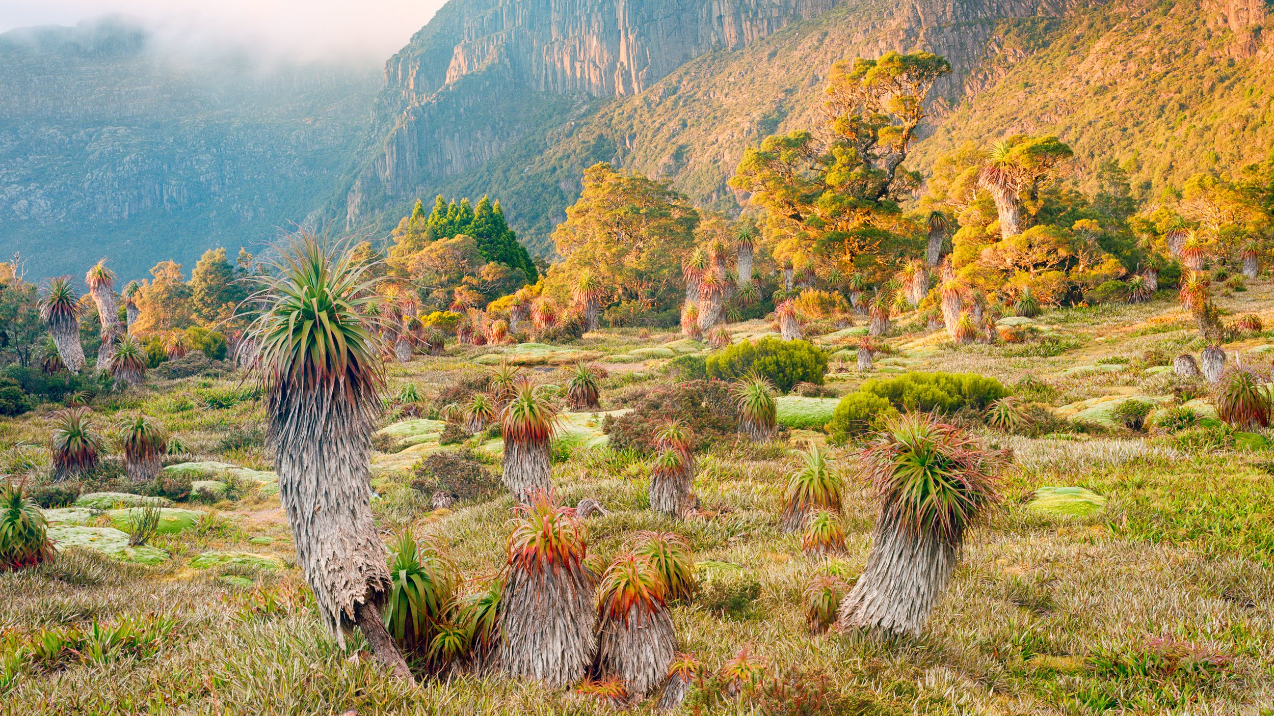 GONDWANA SUNRISE, SOUTHWEST NATIONAL PARK, TASMANIA (16:9 CROP)