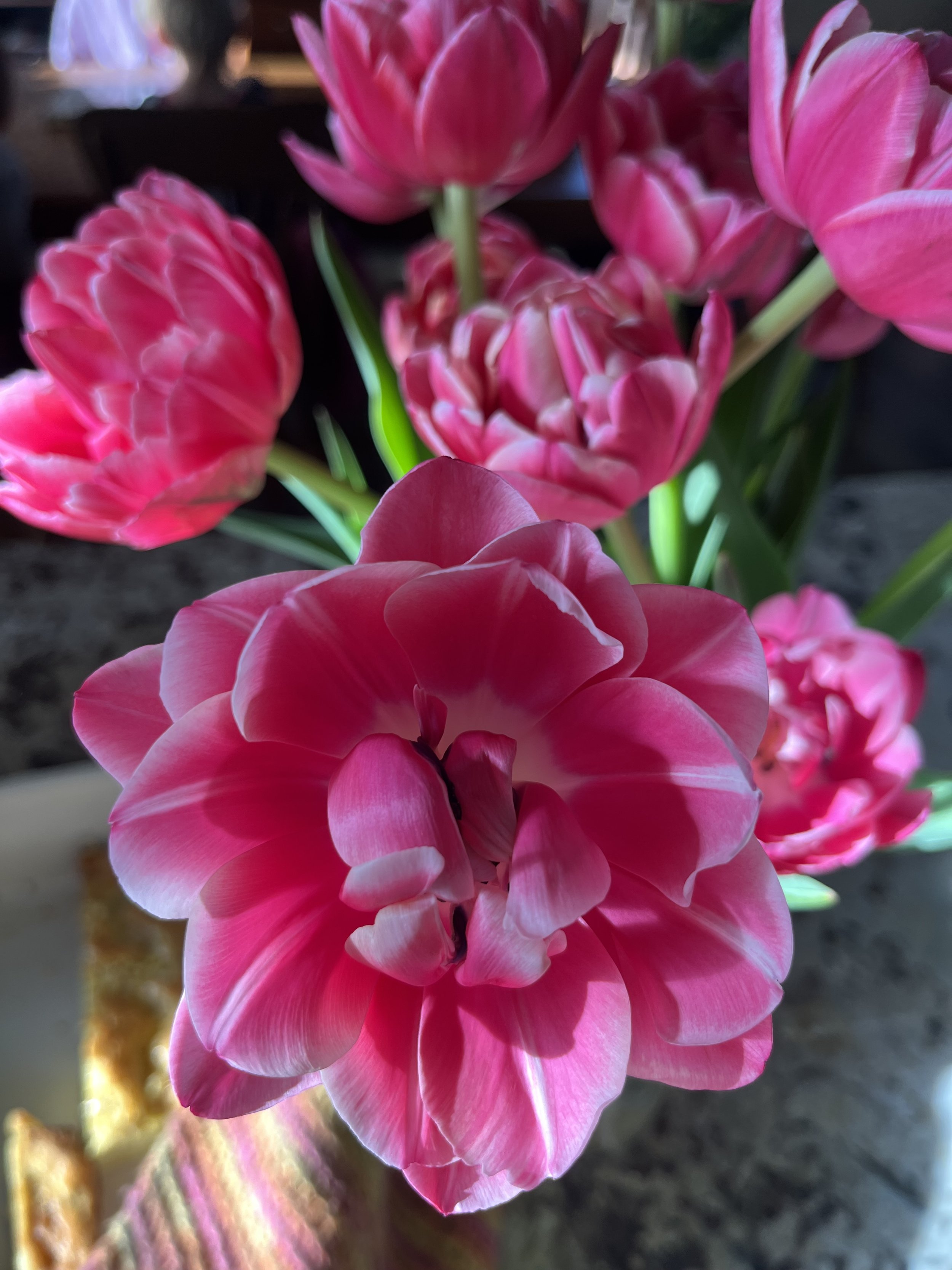 flower-farming-for-profit - pink tulips close up