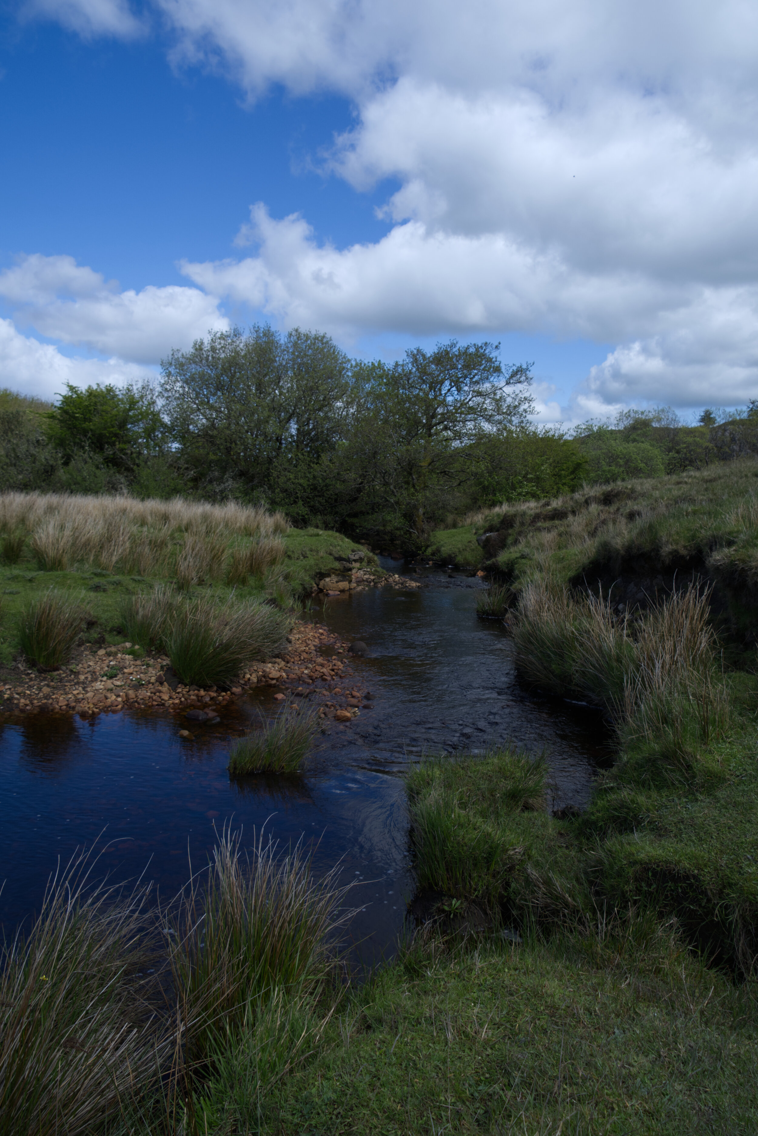 DSC_1056.jpg
