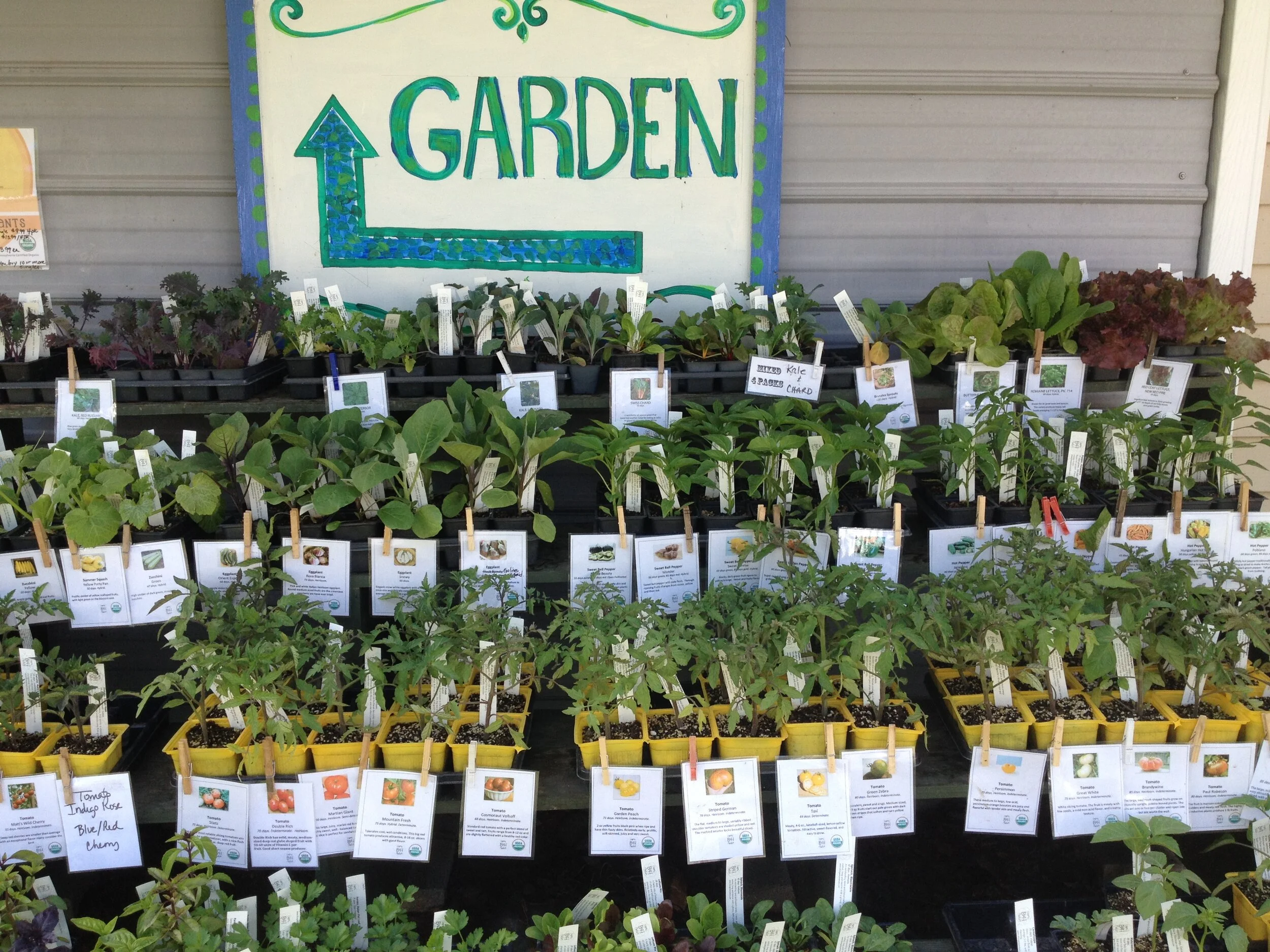 2015-05-02 10.16.13.jpg