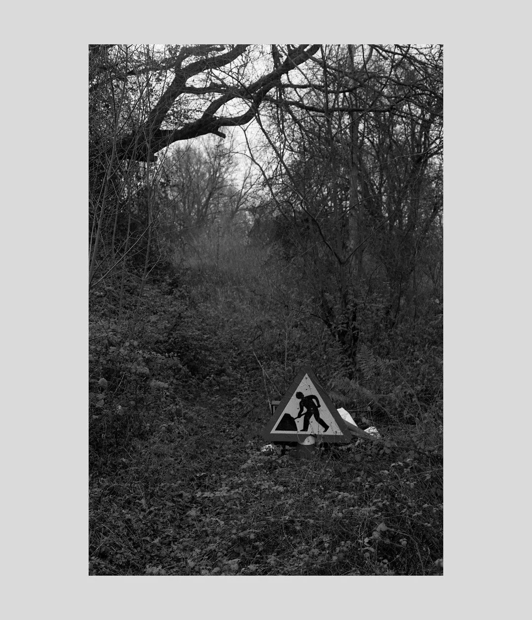 Great Holland, Essex (2021)

Shot on ILFORD XP2 135 Film.

www.jamesvesseymiller.com/photography/
&copy;James Vessey-Miller  

#ShotOnFilm #Film #FilmIsNotDead
#FilmPhotography #FilmClubEurope
#GreatHolland #FrintonOnSea #Essex #Woodland
#IlfordXP2 #